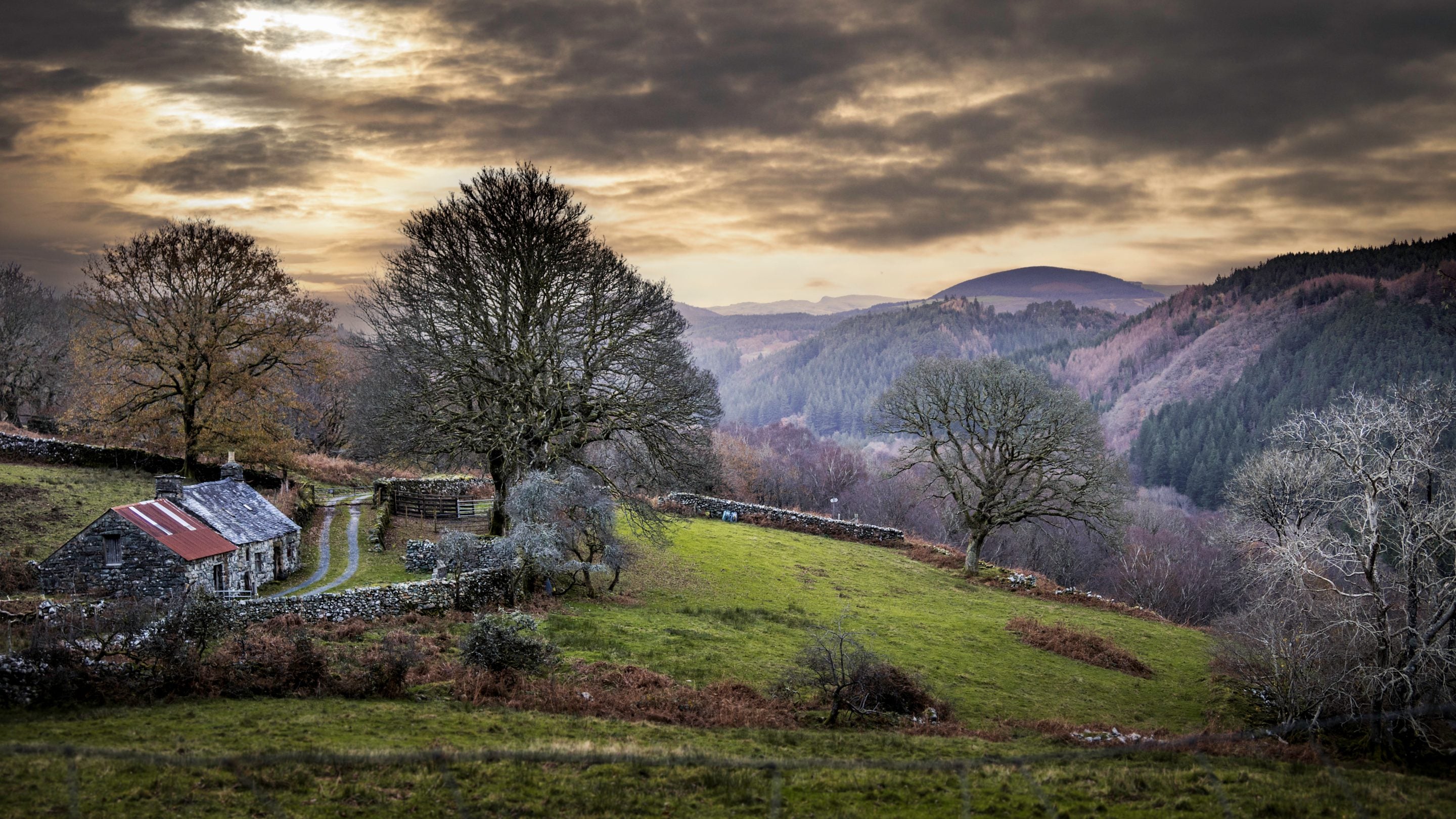 The surrounding area at Hafod y Fedw, Gwynedd