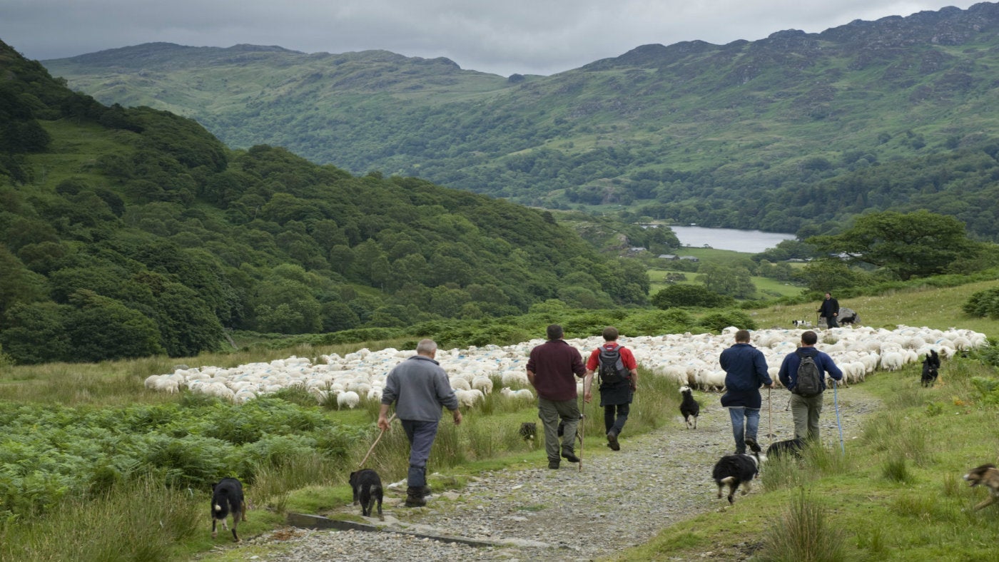 Shepherds on the Watkin path, Hafod y Llan, Snowdonia