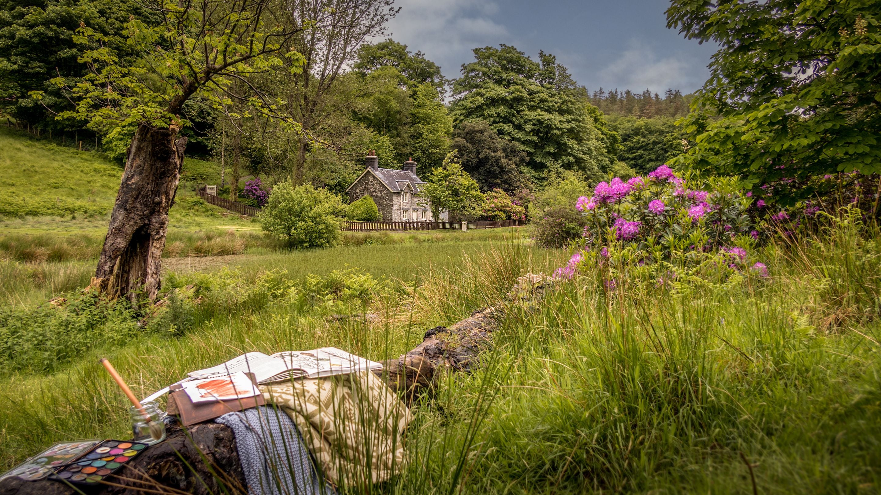 Looking across the old duck pond towards Hawthorn Cottage, Ceredigion