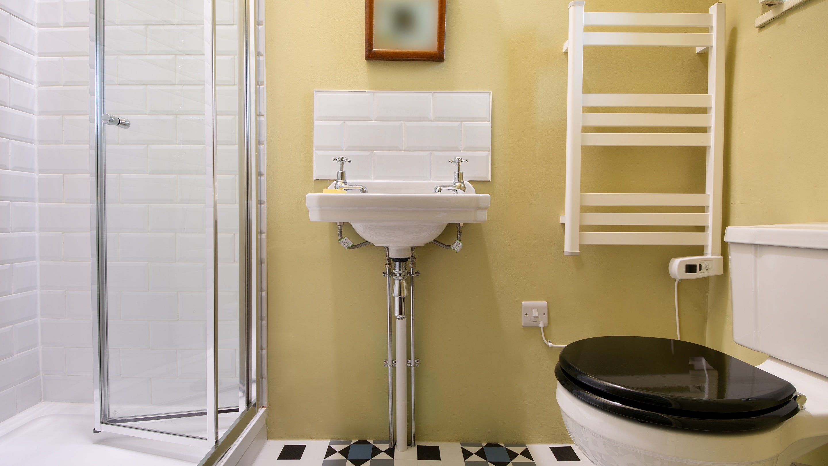 The en-suite shower room on the ground floor of Hawthorn Cottage, Ceredigion