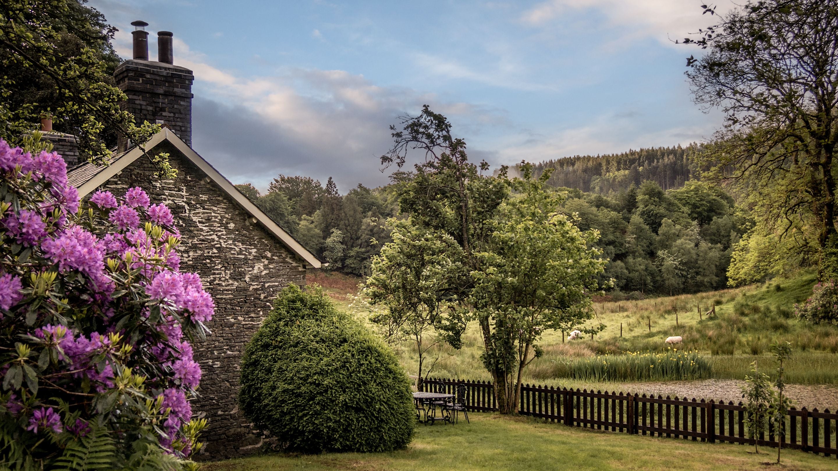 In the garden of Hawthorn Cottage, looking across the Hafod Estate, Ceredigion