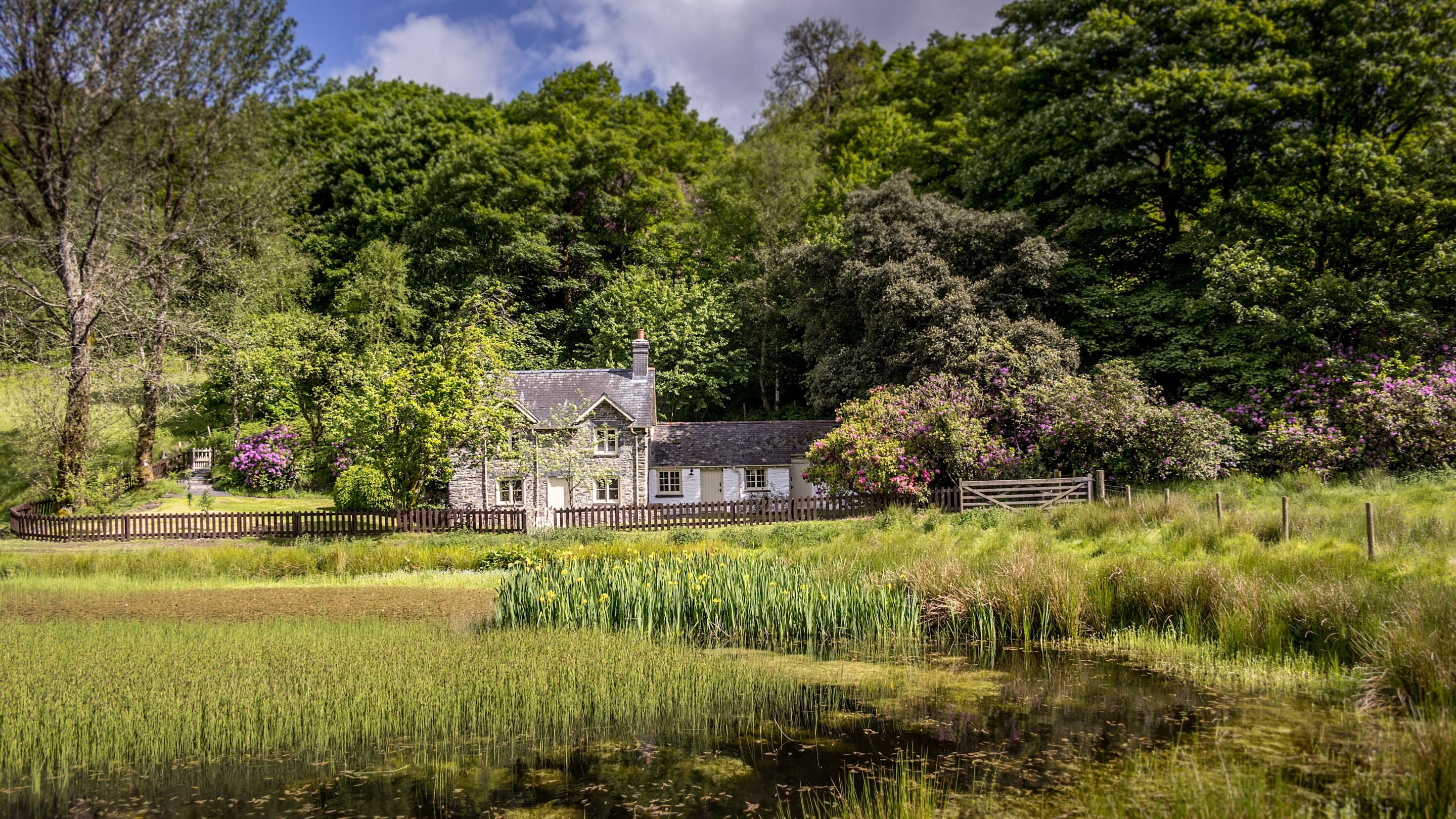 Looking across the old duck pond to Hawthorn Cottage, Ceredigion