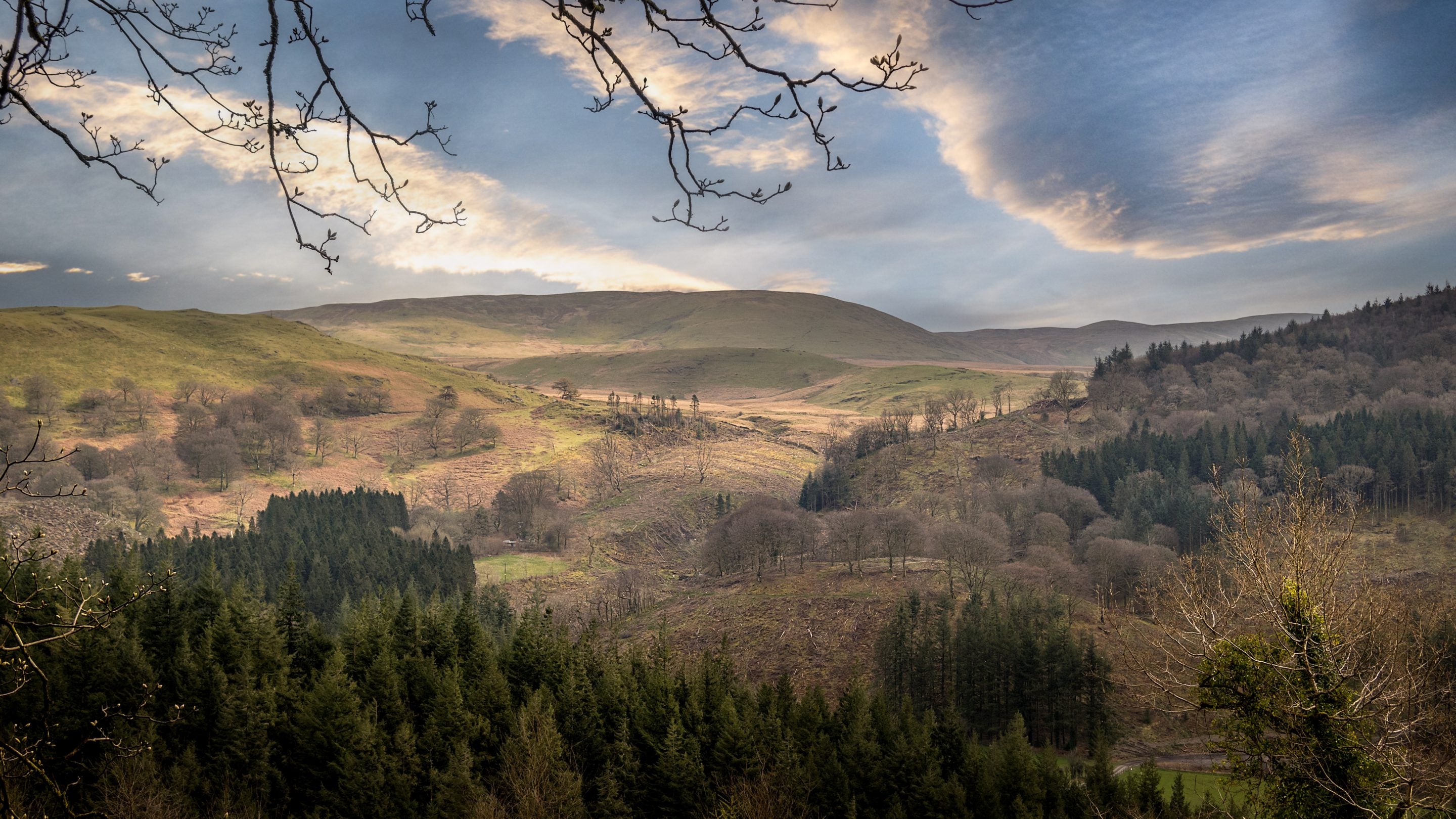 The Hafod Estate in winter, home to Hawthorn Cottage, Ceredigion
