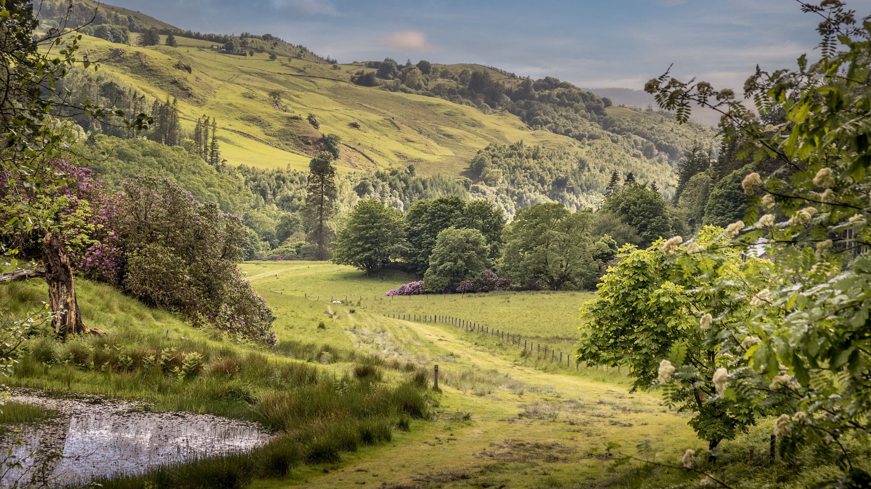 Lady's Walk passes between the duck pond and Hawthorn Cottage and continues through the Hafod Estate, Ceredigion