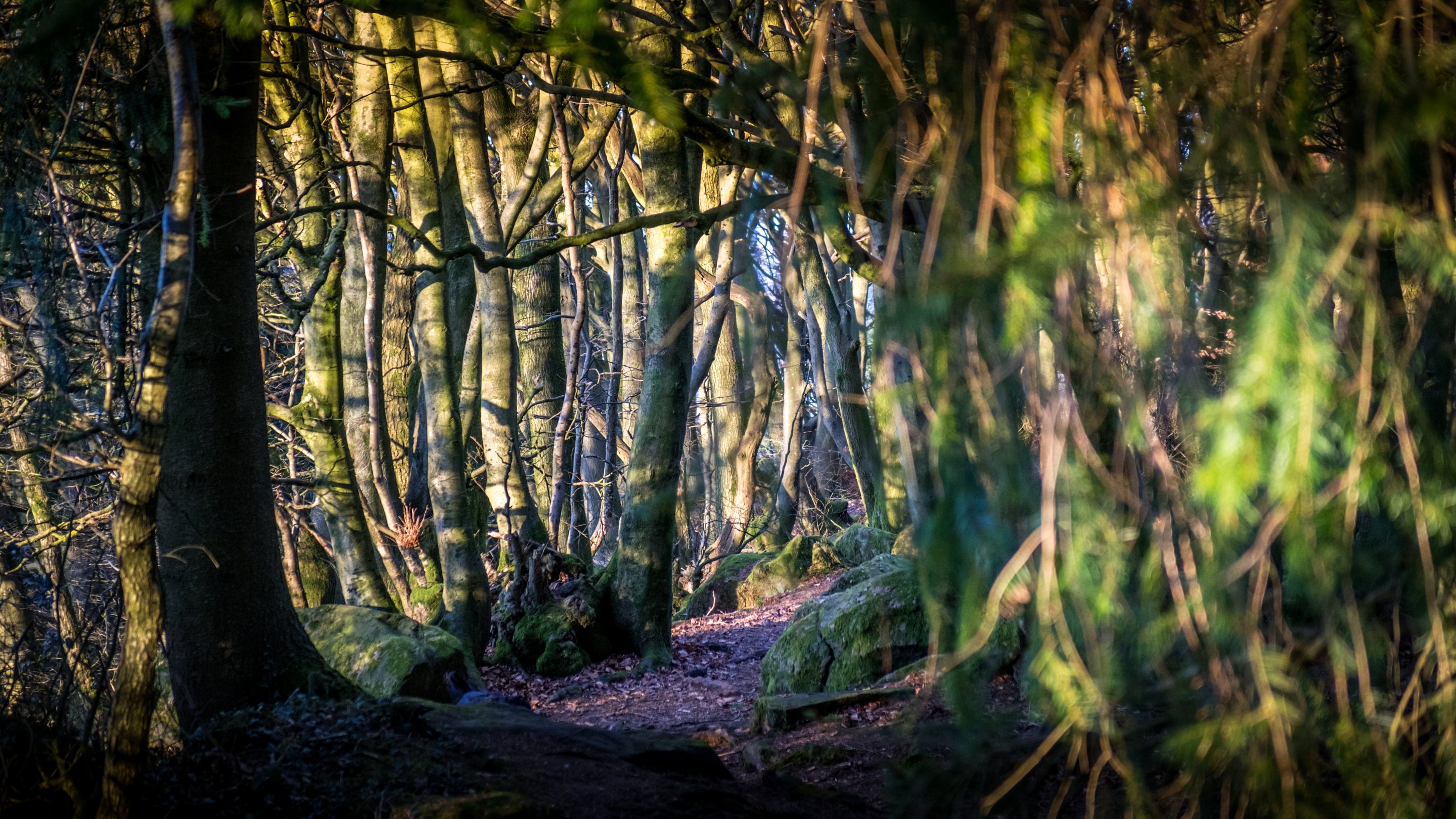 The area surrounding Kymin Stables, Monmouthshire
