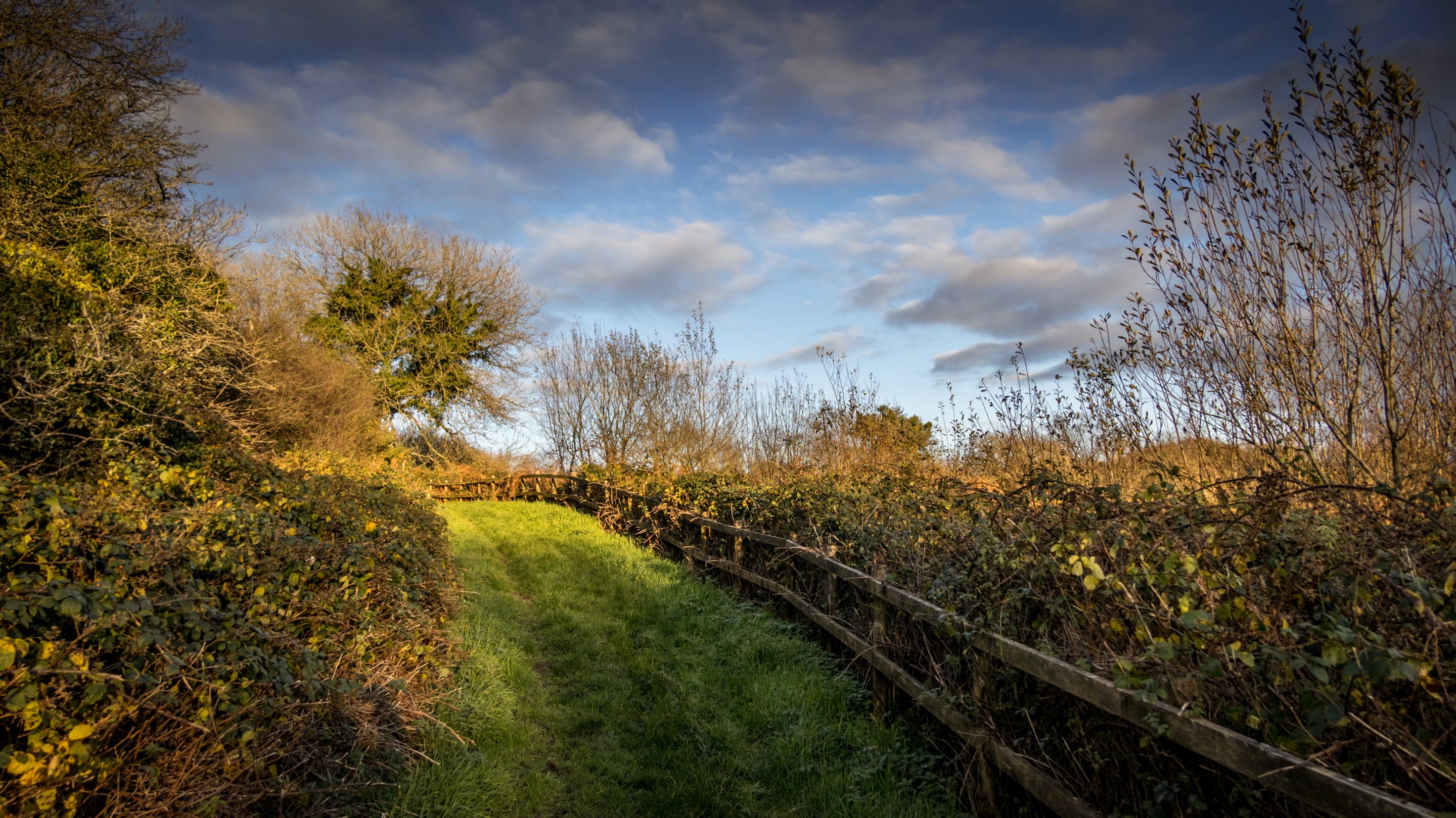 The area surrounding Little Craig-y-borion, Pembrokeshire