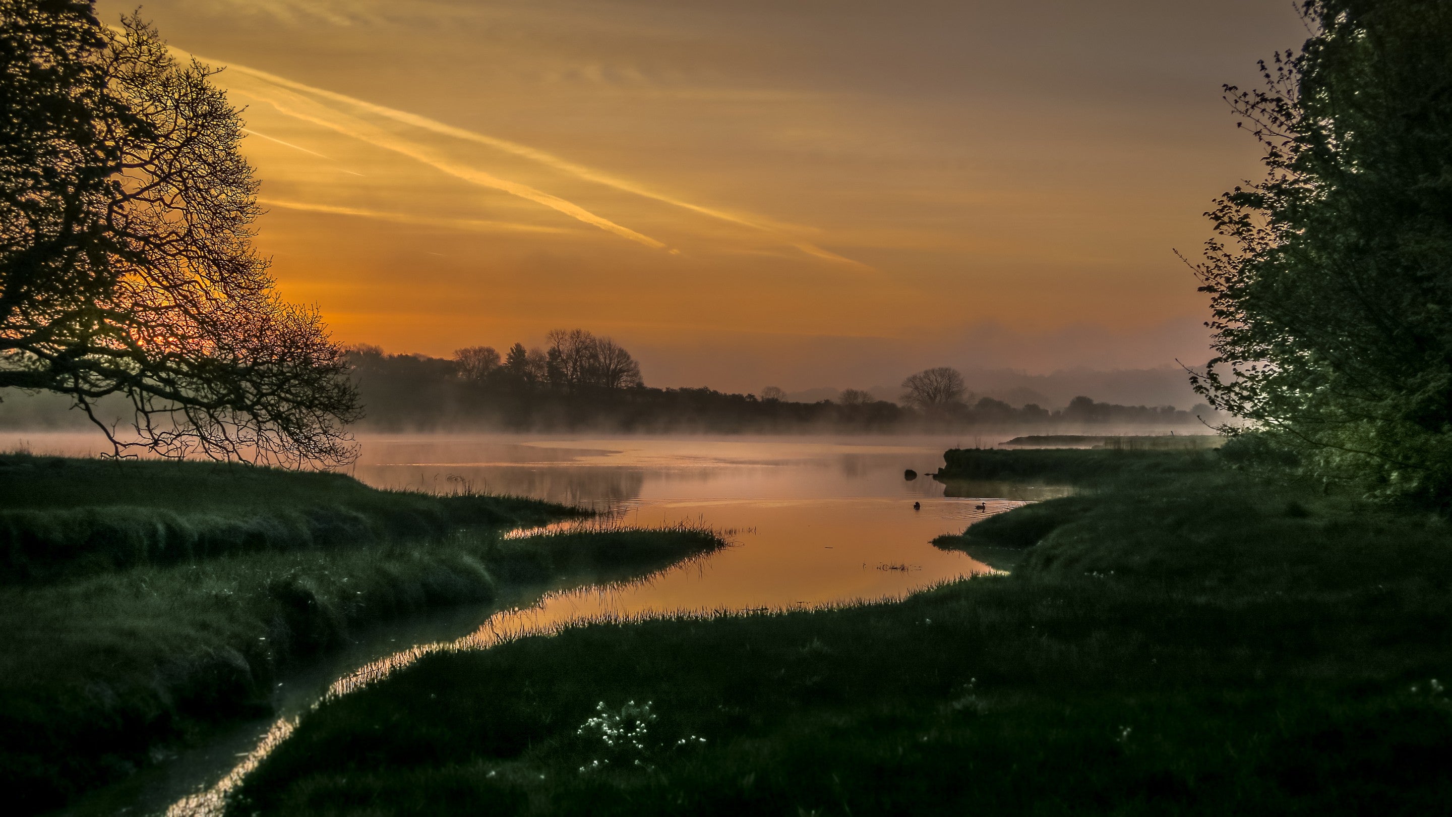 The sun rising over the river near Little Milford Farmhouse, with mist rising over the water, Pembrokeshire