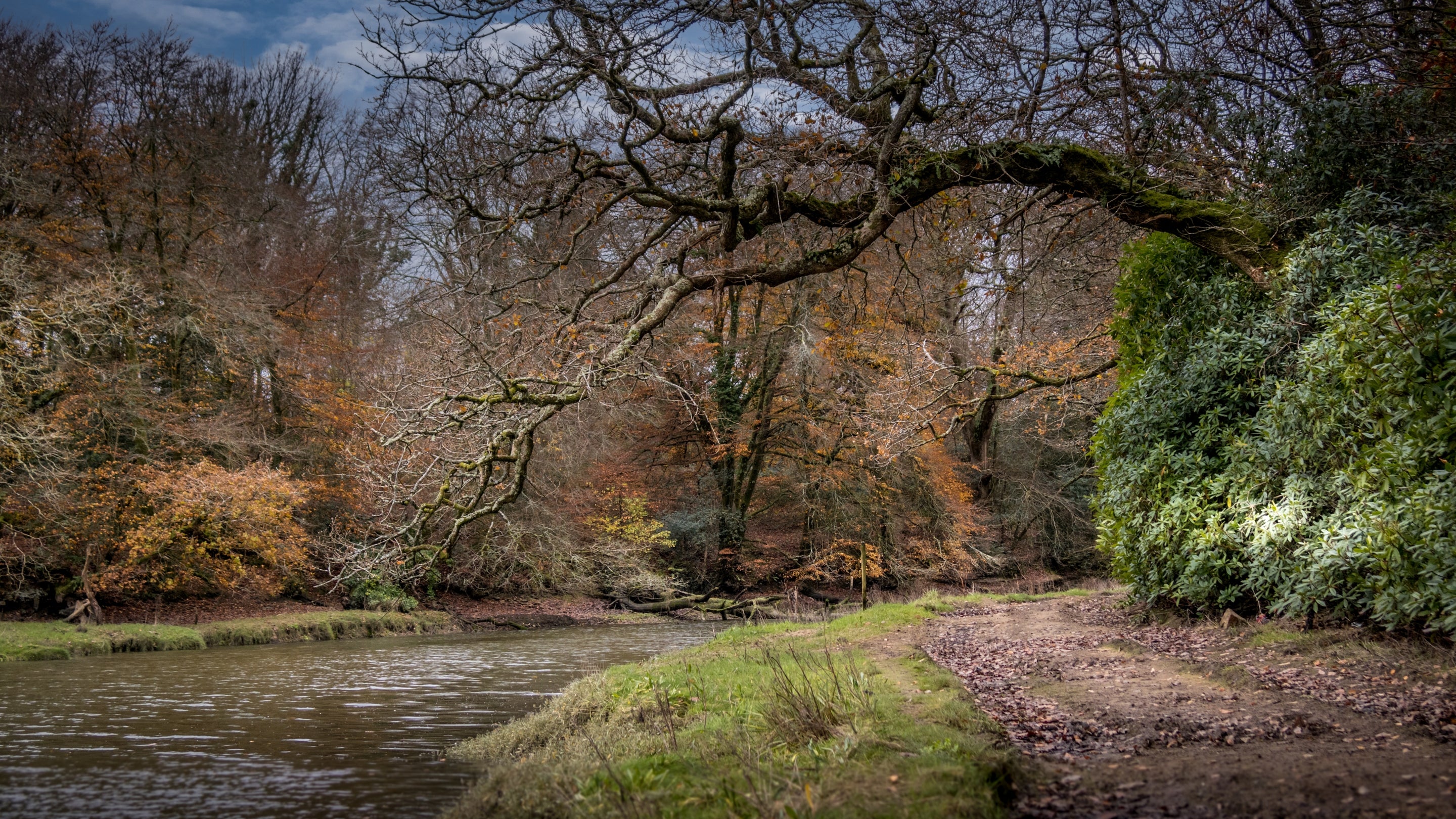 The surrounding area at Little Milford Lodge and Farmhouse, Pembrokeshire