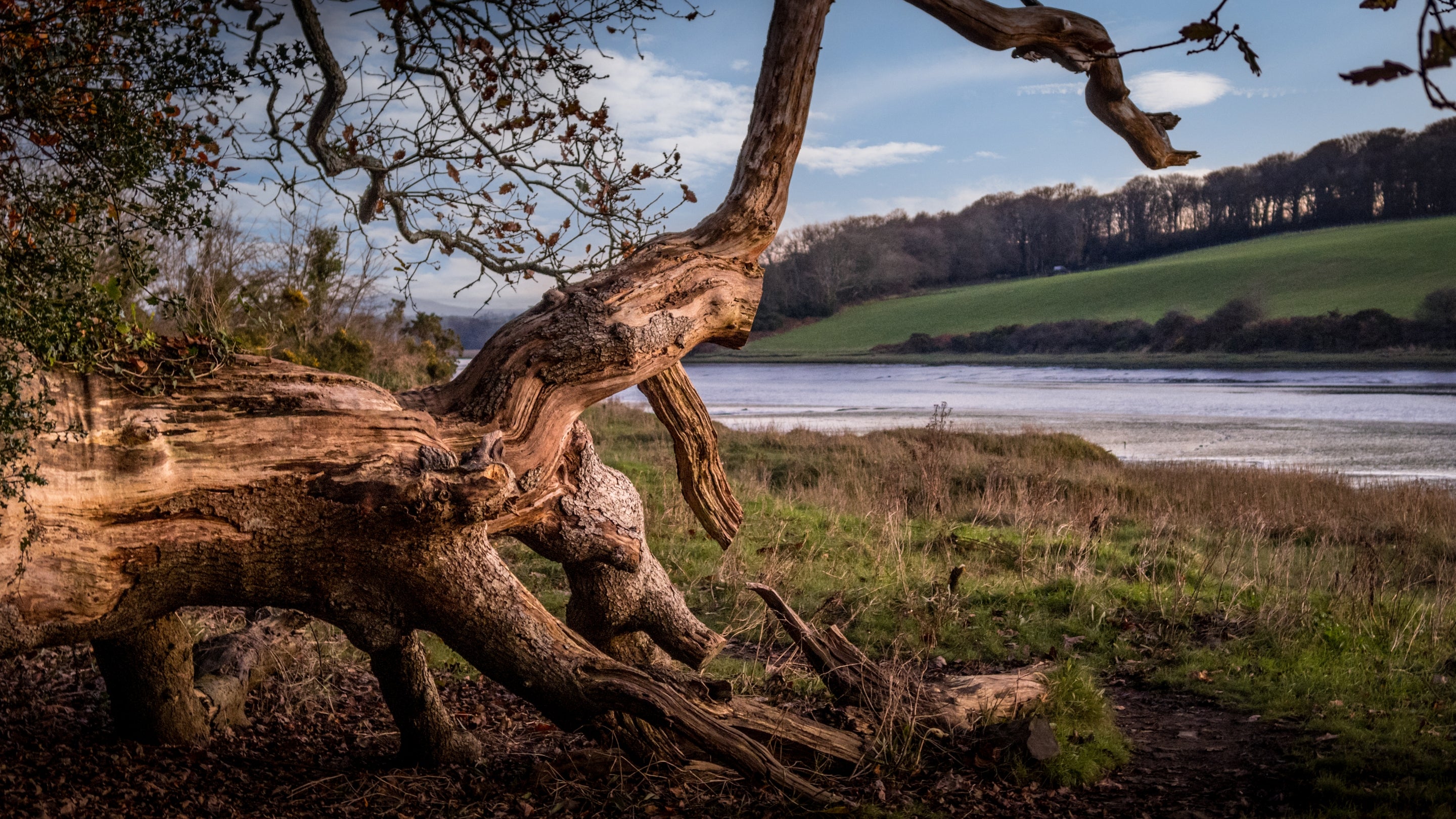The surrounding area at Little Milford Lodge and Farmhouse, Pembrokeshire