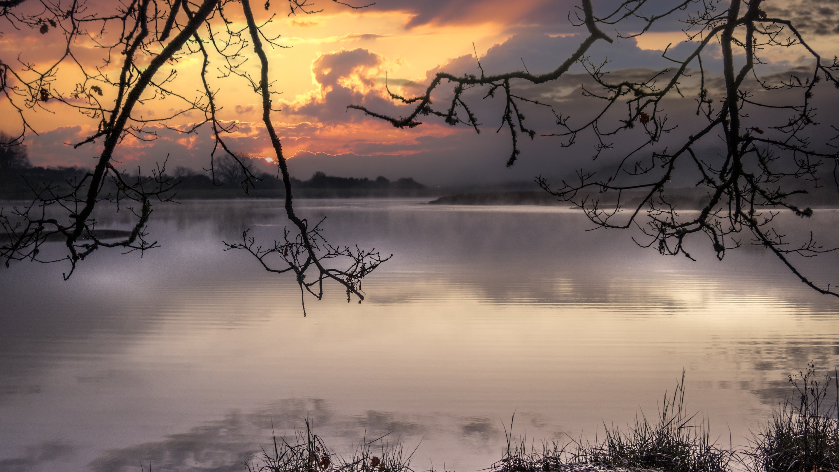 The surrounding area at Little Milford Lodge, Pembrokeshire