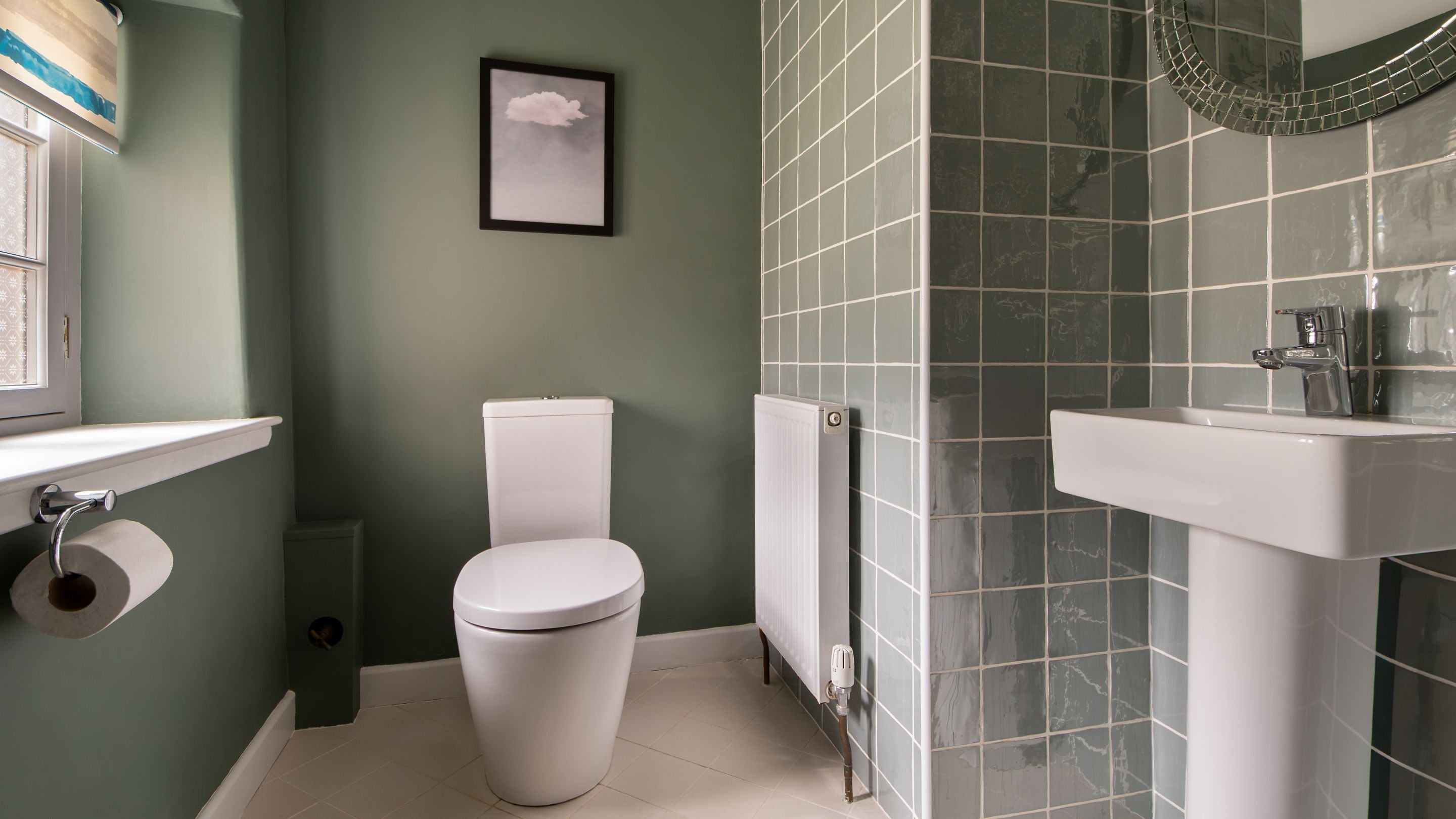 The downstairs toilet at Llanborth Farmhouse, Ceredigion