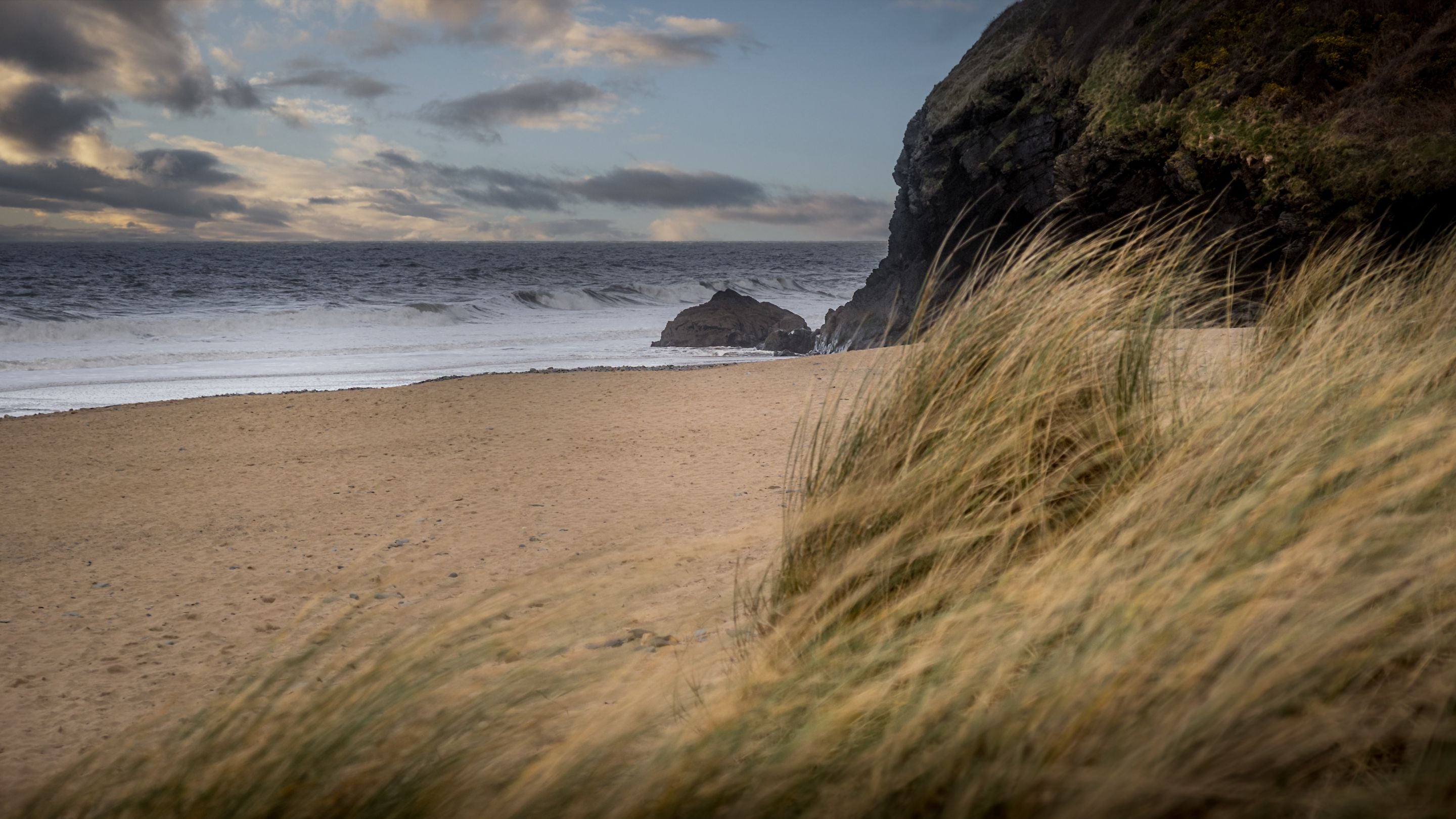 Golden sand and grasses at Penbryn Beach, Ceredigion