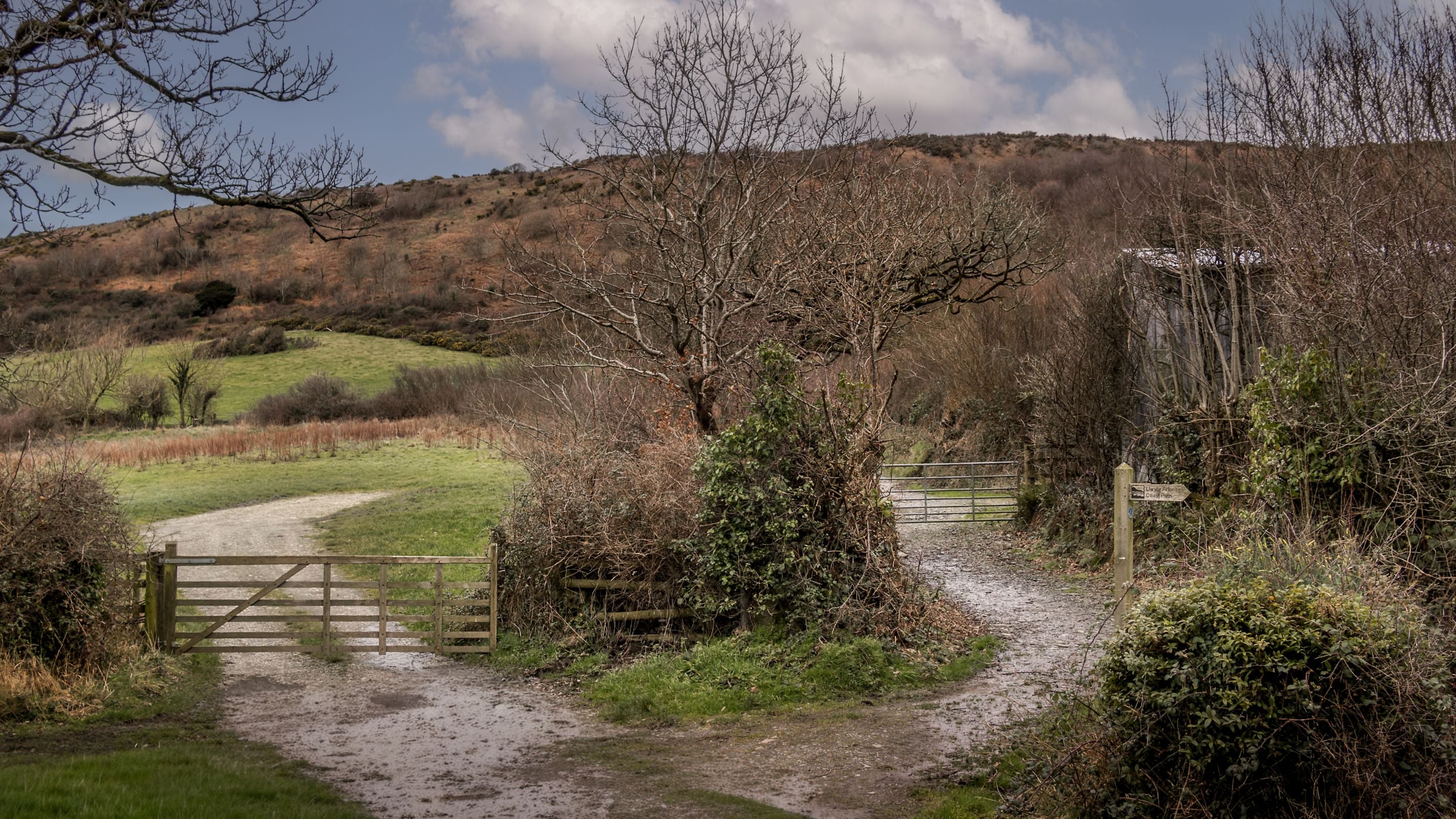 Trails in the area surrounding Llanborth Farmhouse, Ceredigion