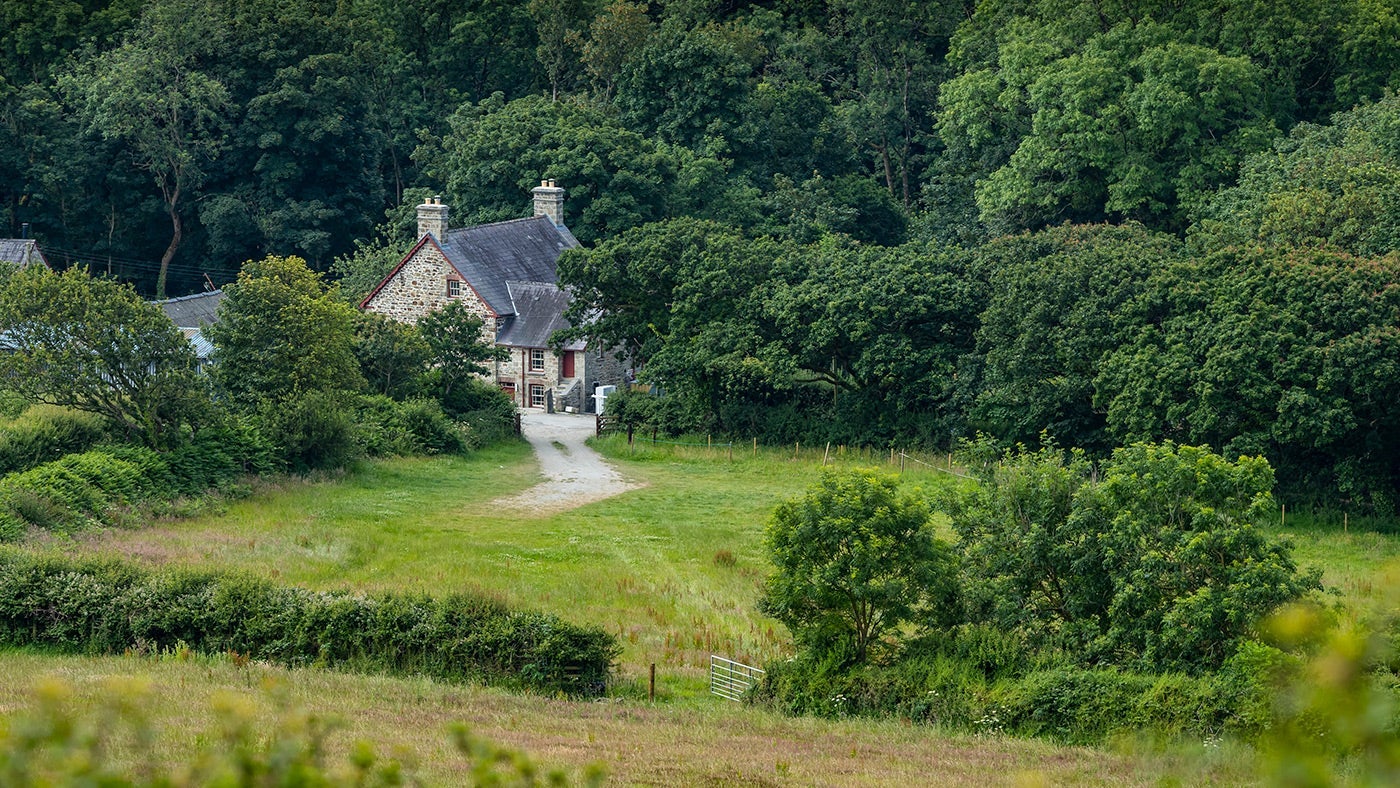 The local area around Llanborth Farmhouse, Llandysul