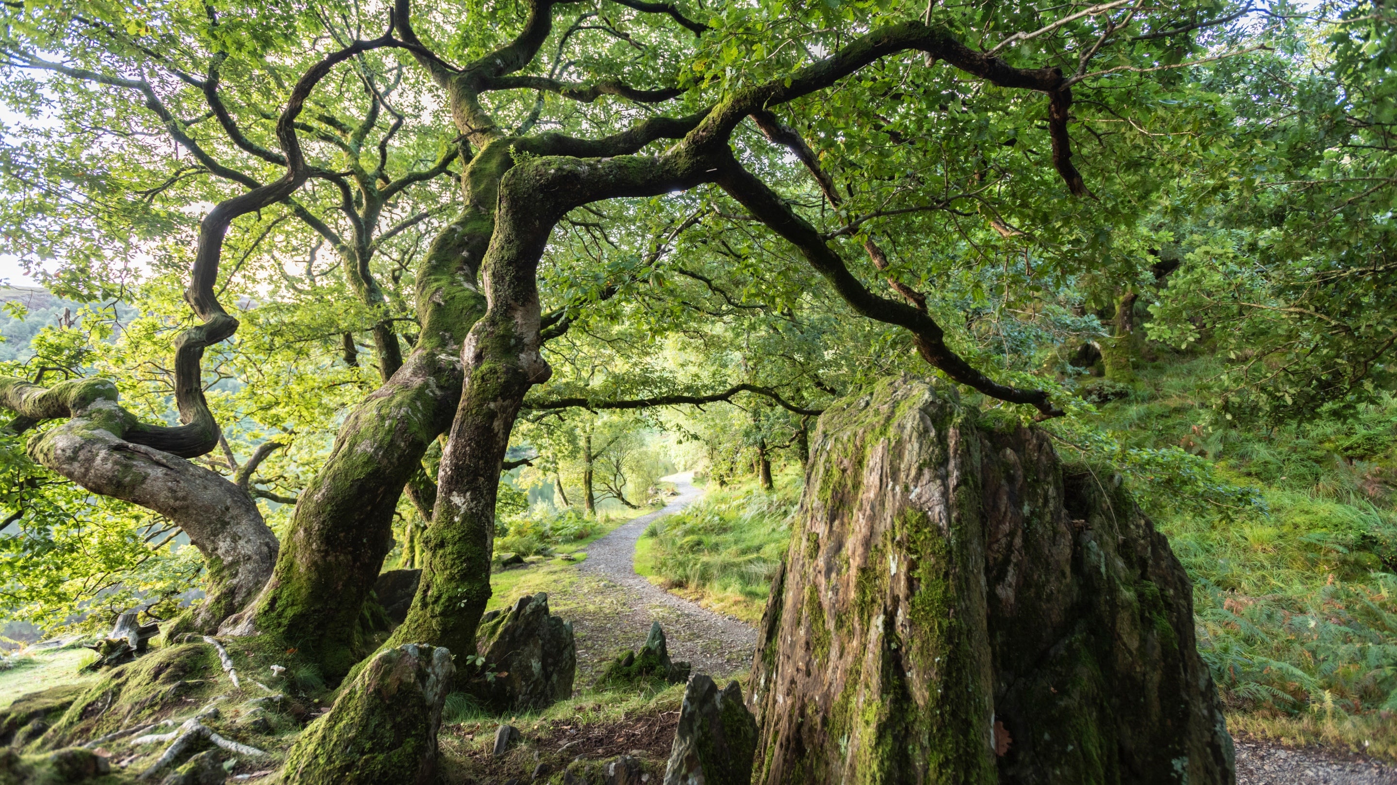 The area surrounding Craflwyn Hall and cottages, Gwynedd