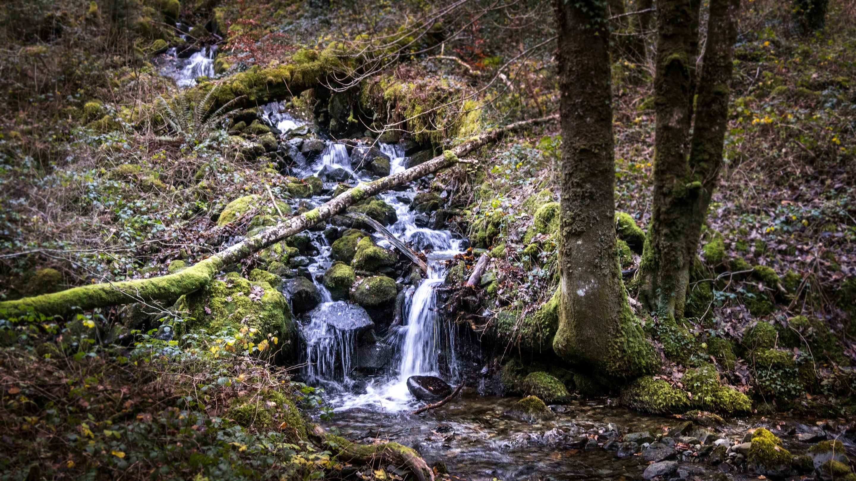 Waterfalls in the surrounding landscape, Nant Las, Gwynedd