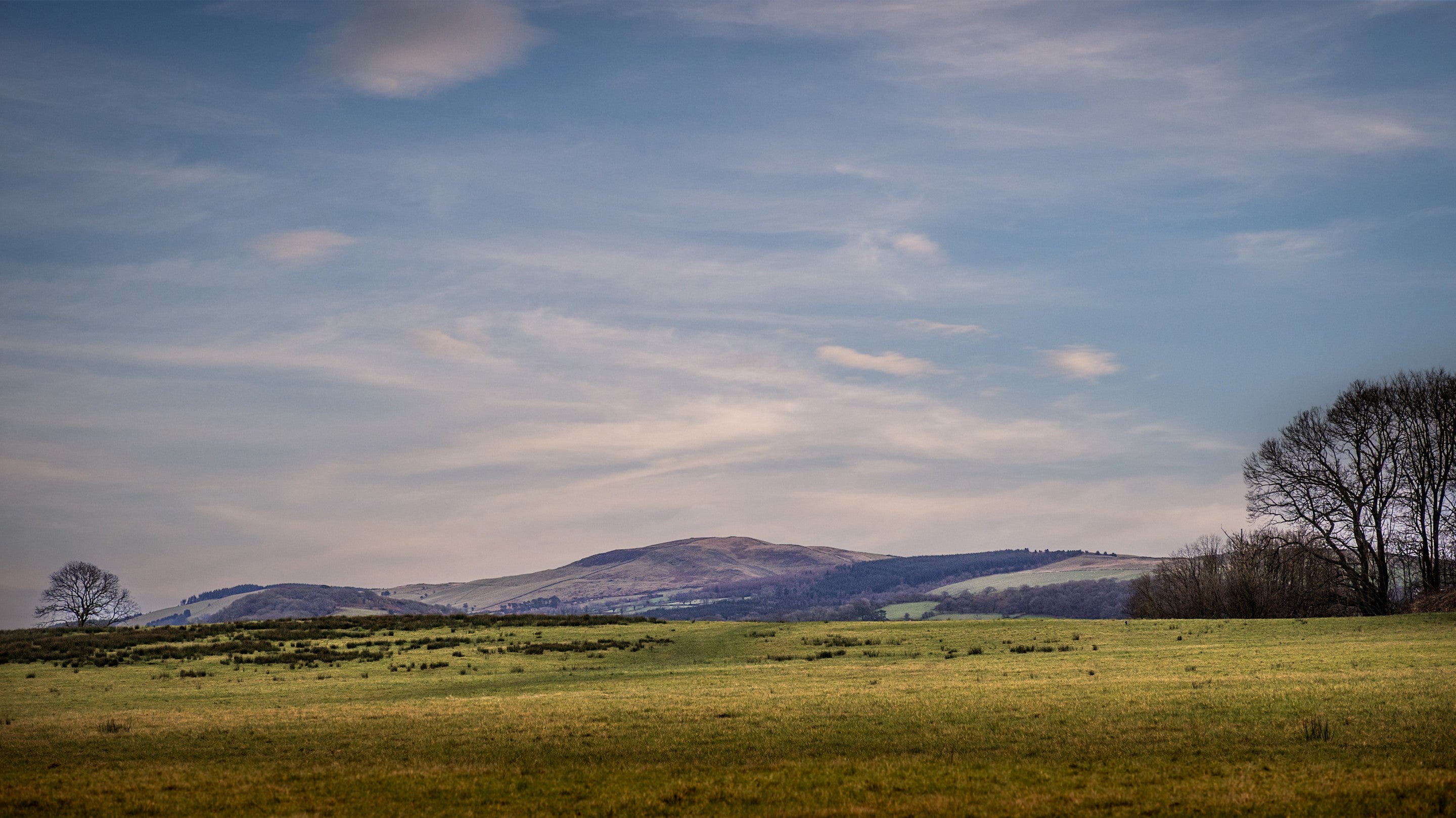 The countryside around Penparc, Carmarthenshire