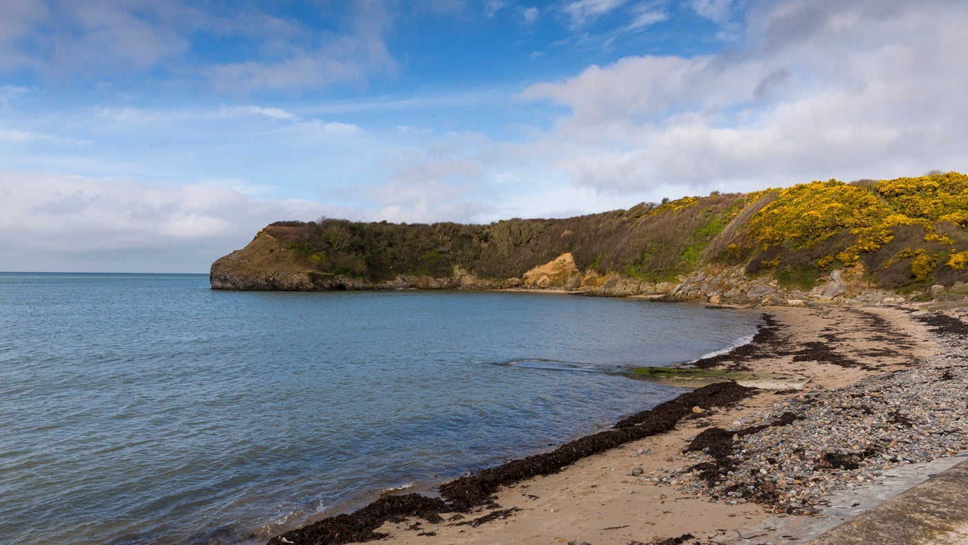 The nearby views at Penrhyn Mawr, Anglesey