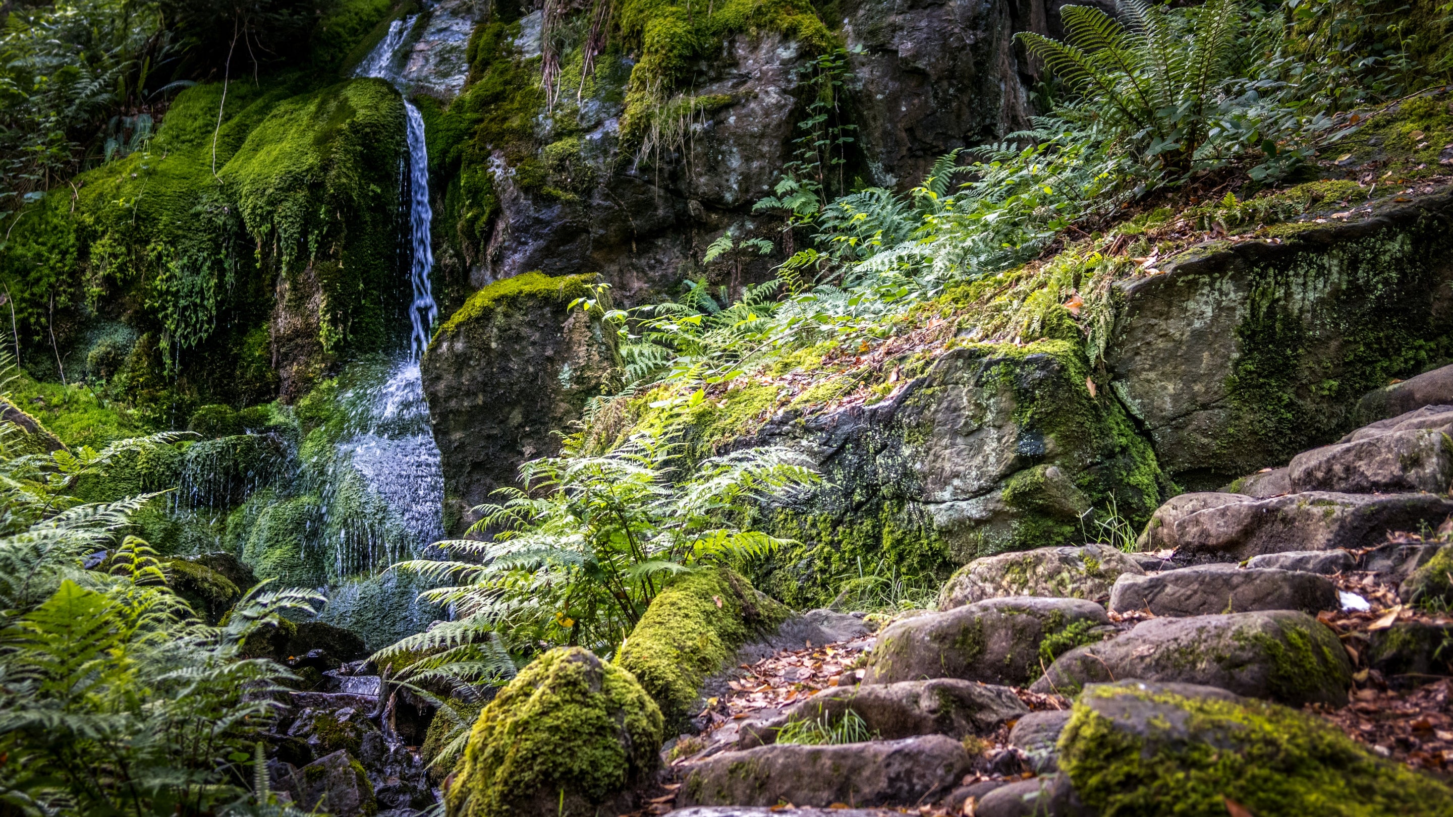 The area surrounding Stabl Bach, Gwynedd