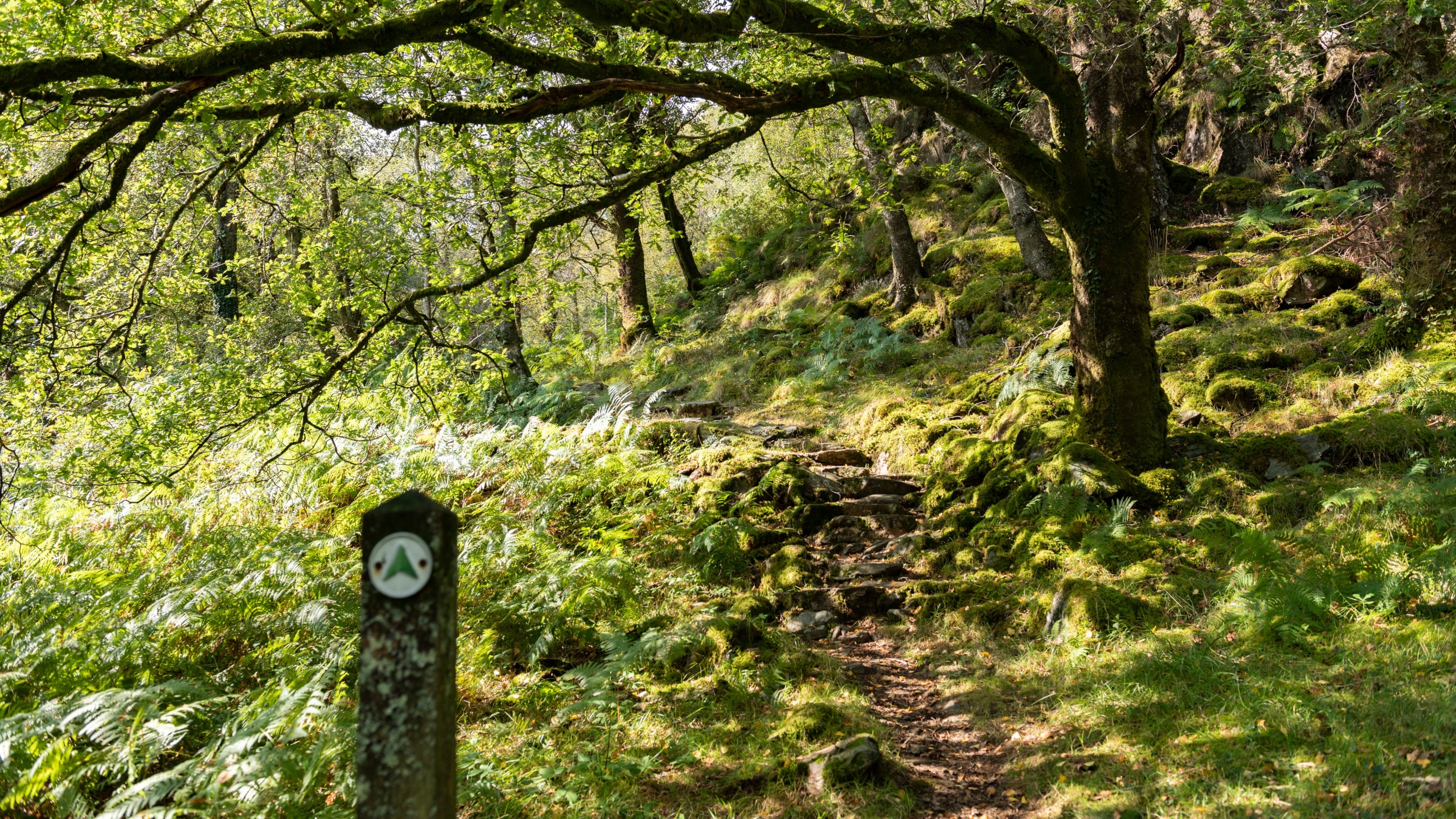 The area surrounding Craflwyn Hall and cottages, Gwynedd
