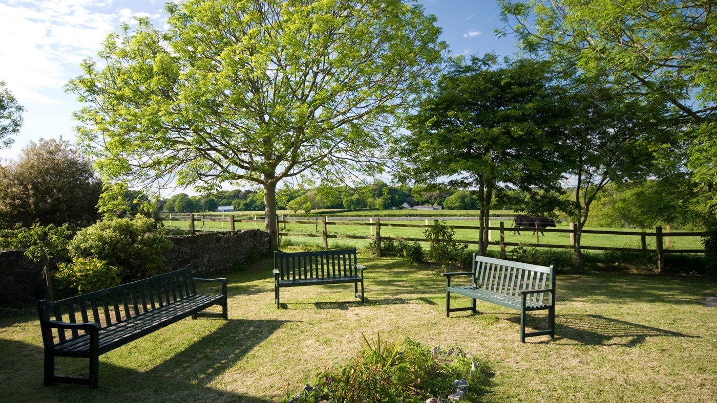 Shared garden at Thyme Cottage, Stackpole, nr Pembroke, Pembrokeshire