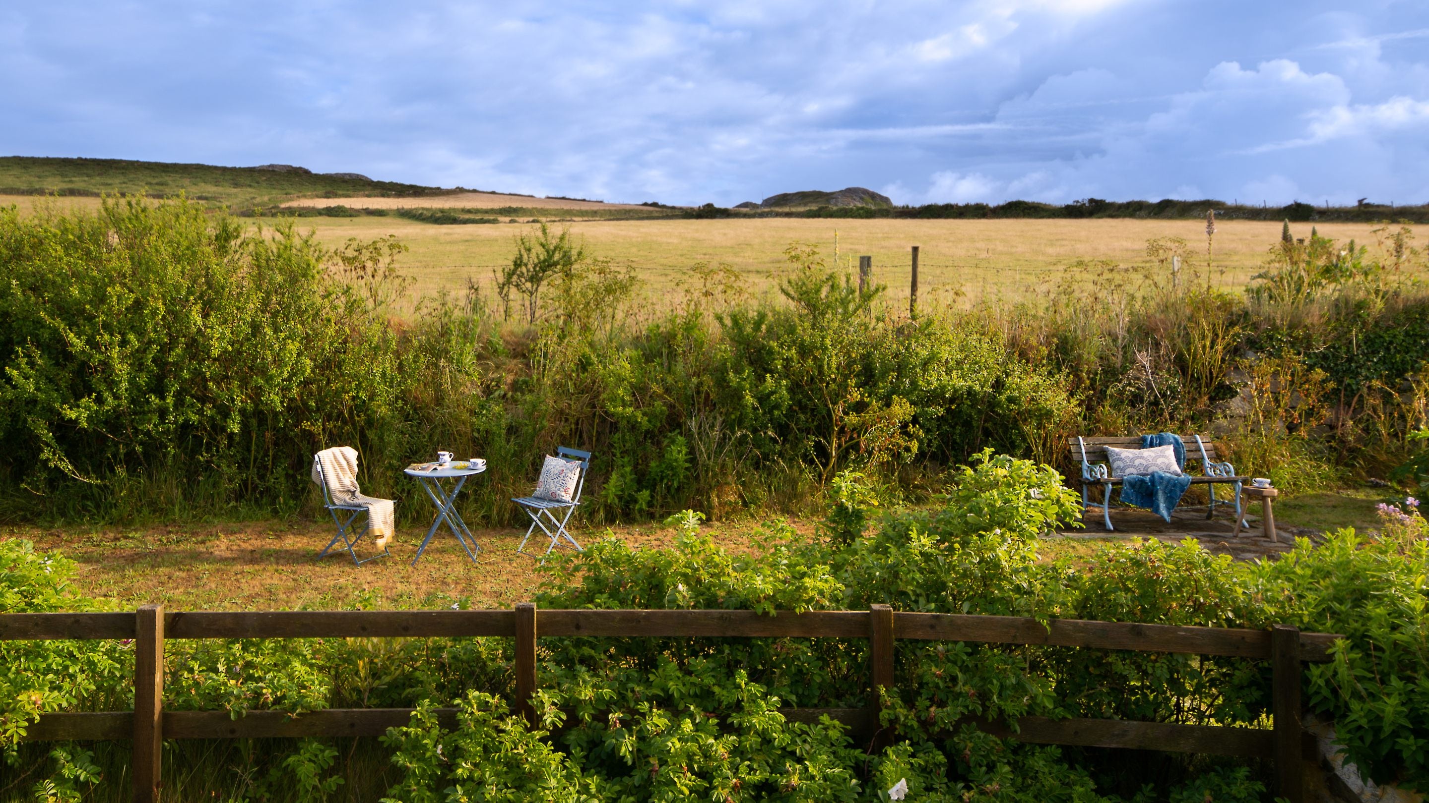 The garden and surrounding fields at Treleddyd Fawr Cottage, Pembrokeshire