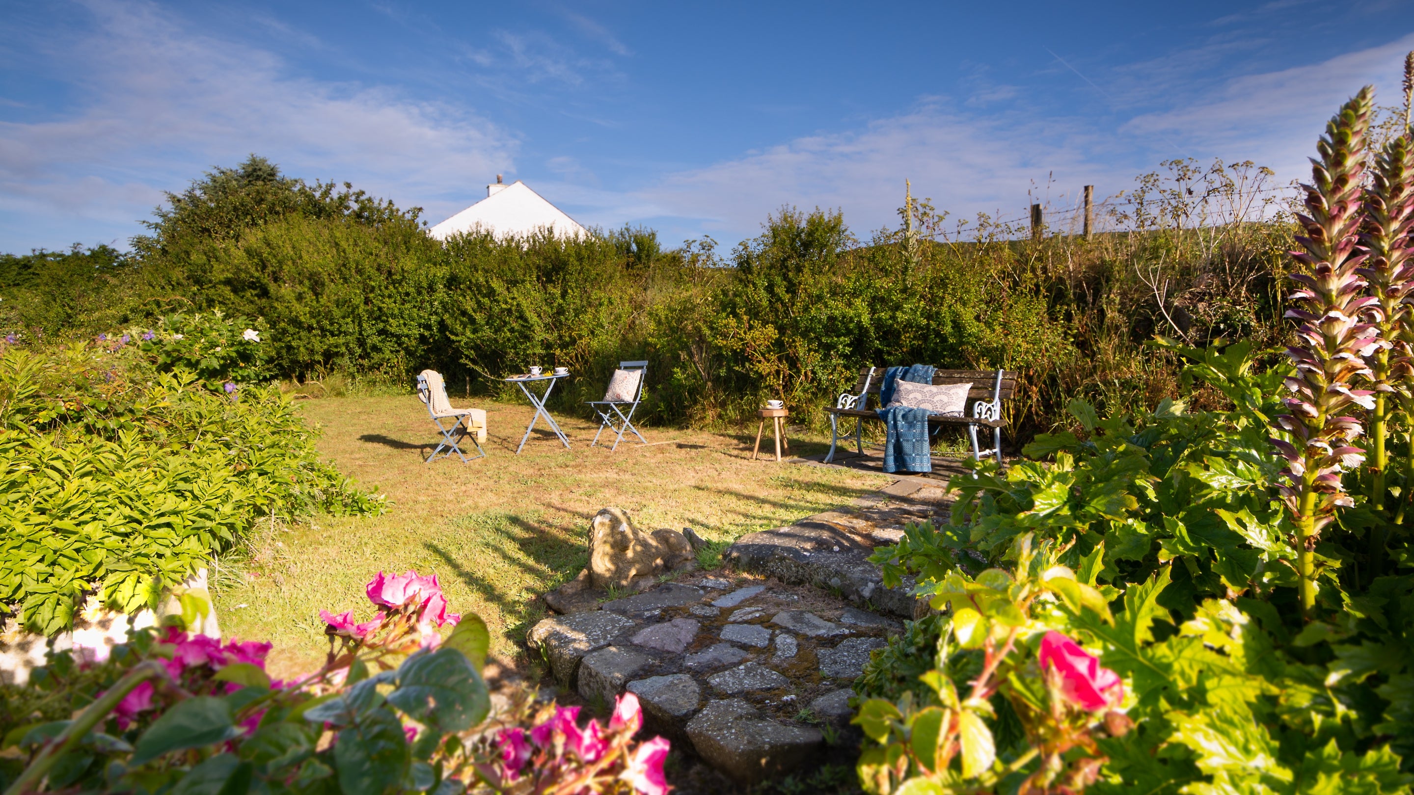 The garden of Treleddyd Fawr Cottage, Pembrokeshire