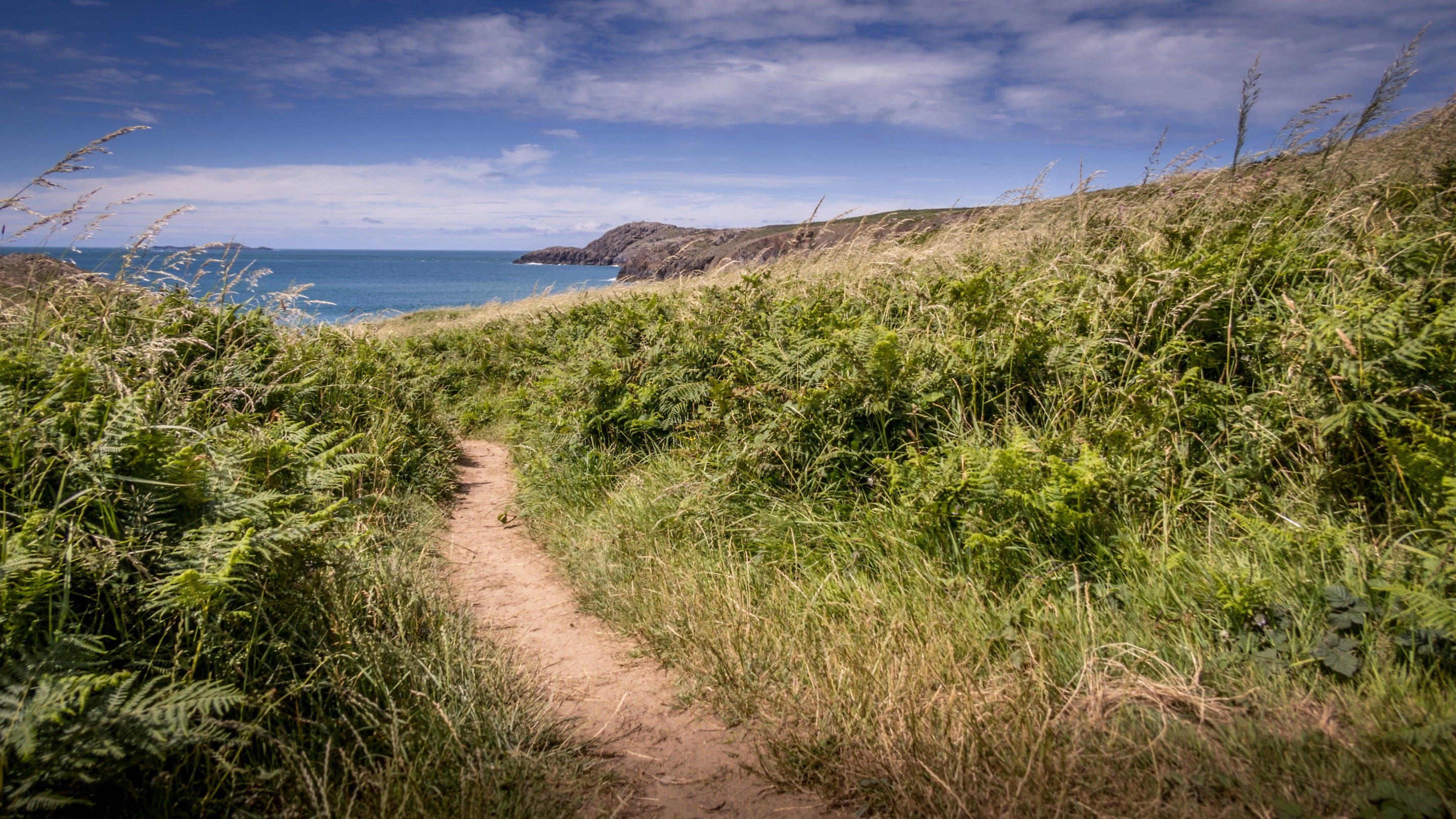 The coast ten minutes from Treleddyd Fawr Cottage, Pembrokeshire