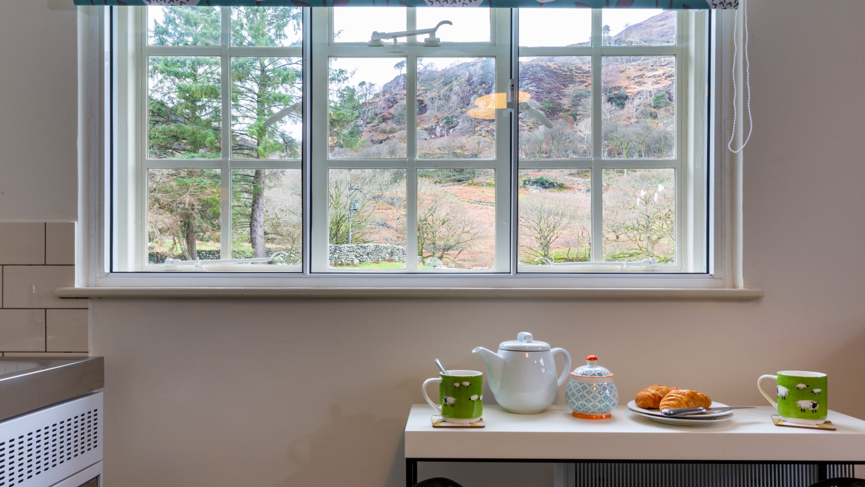 The view from Y Wenallt, North Wales