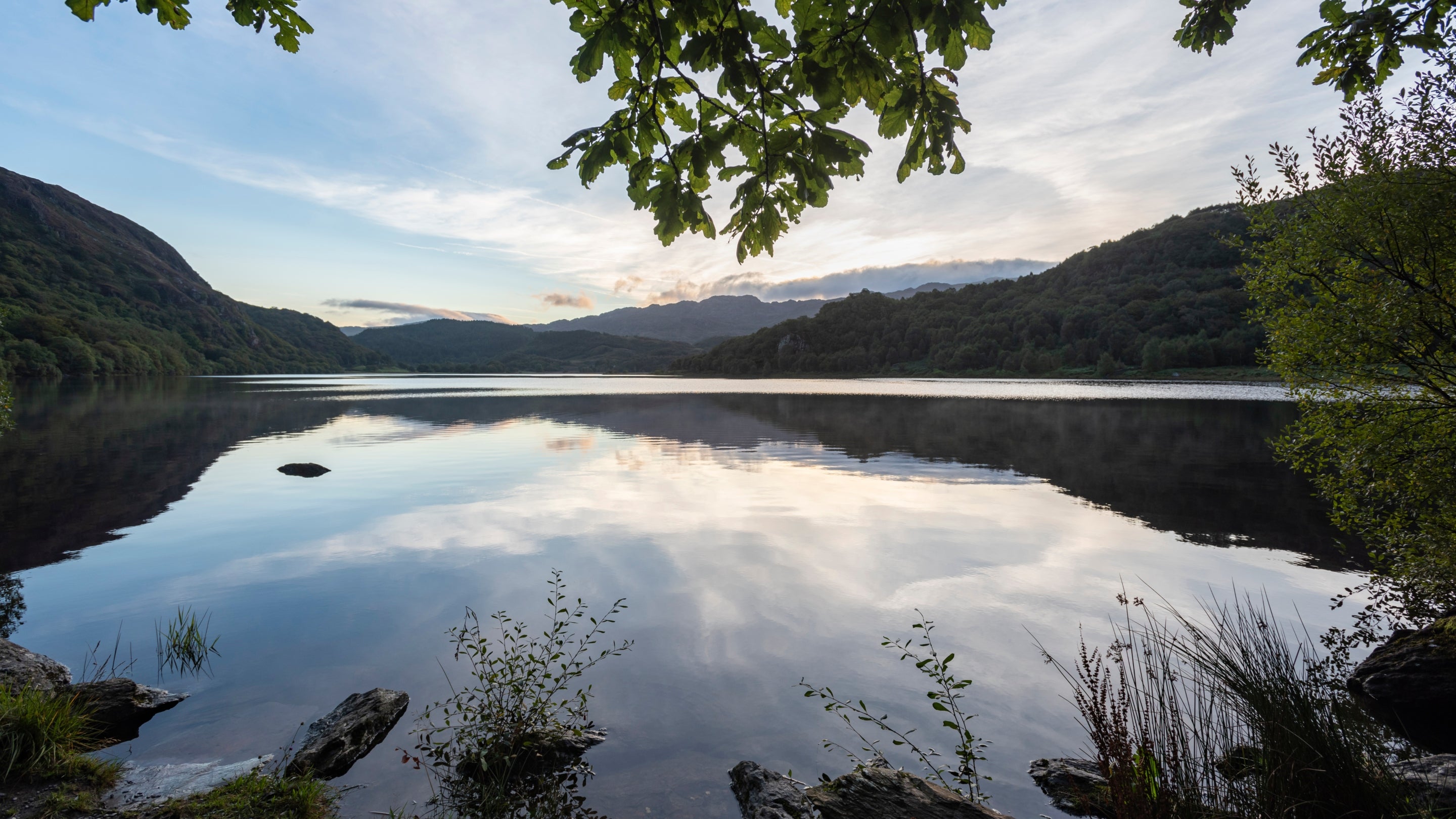 The area surrounding Y Wenallt, Gwynedd