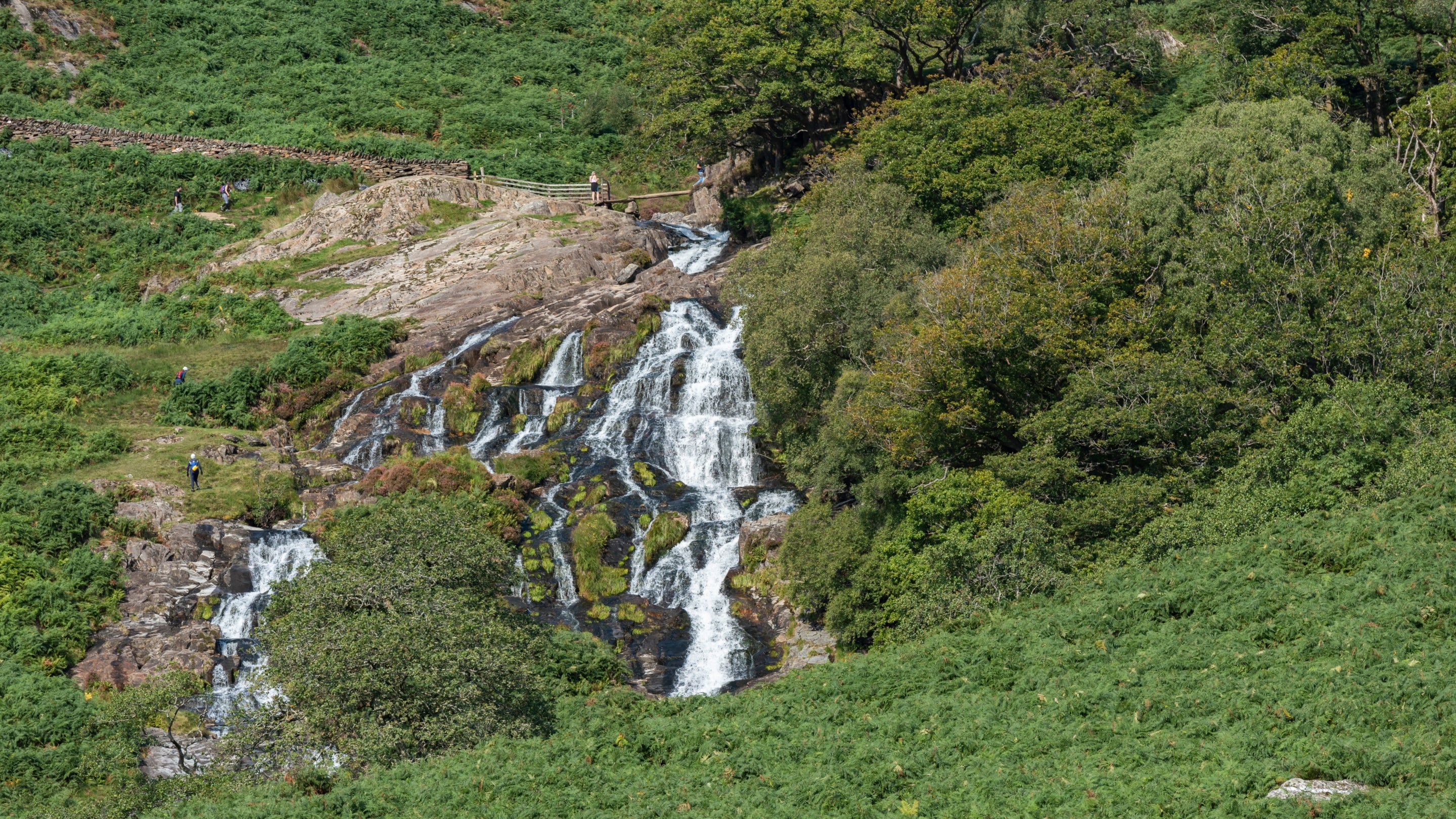 The area surrounding Y Wenallt, Gwynedd