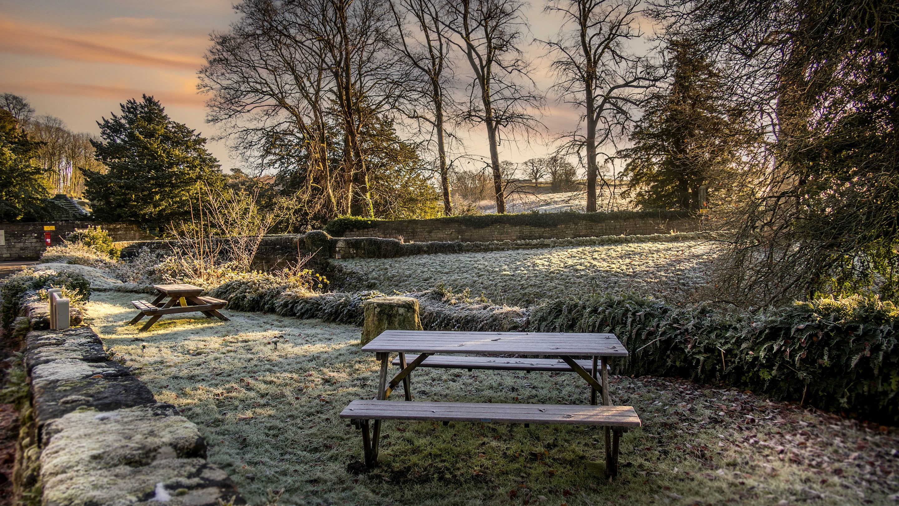The shared garden for Abbey Cottage and Abbey Stores, Yorkshire
