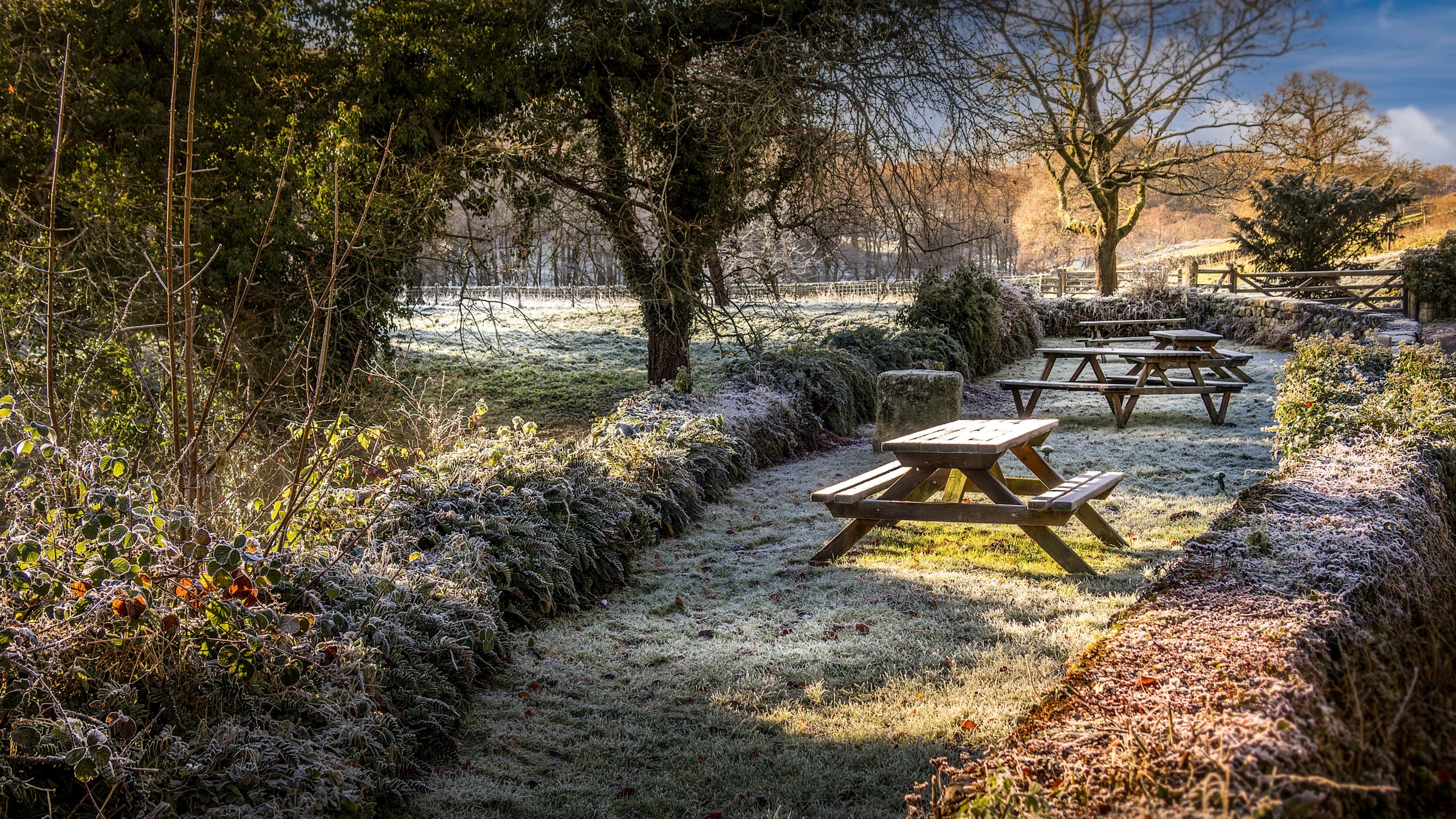 The shared picnic garden at Abbey Stores, North Yorkshire