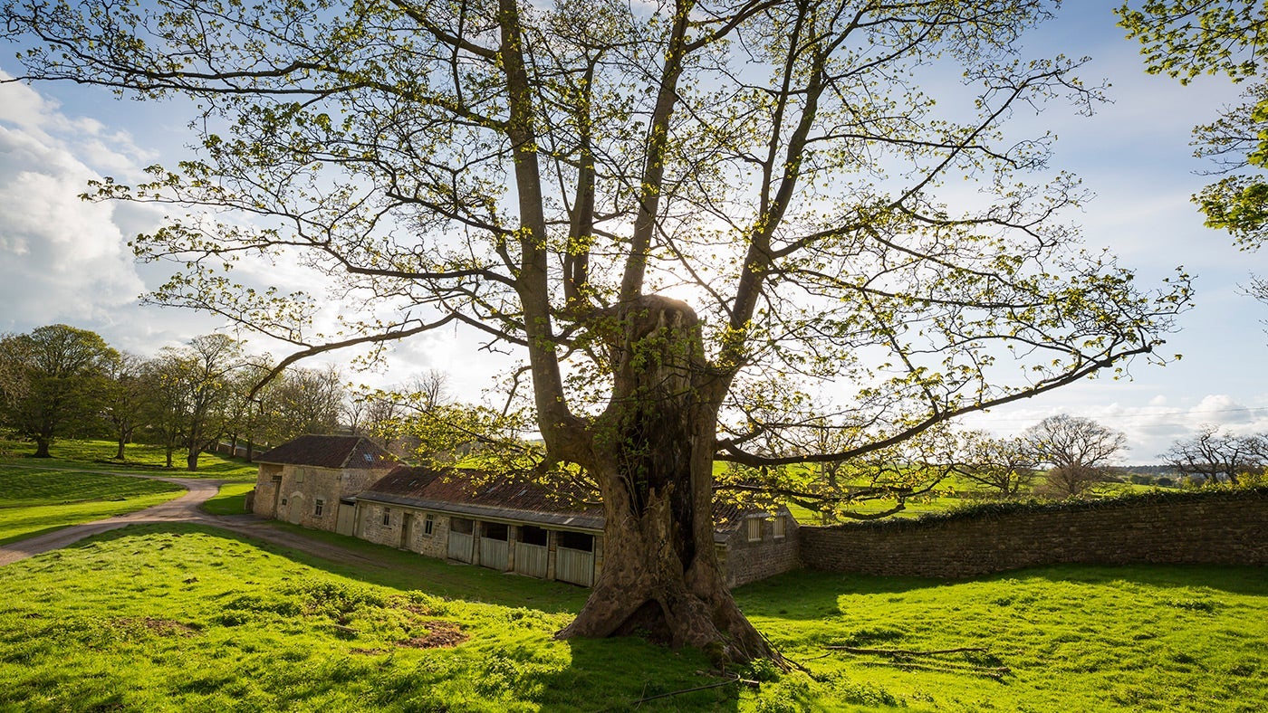 The local views at The Boot Room, Ripon, Yorkshire
