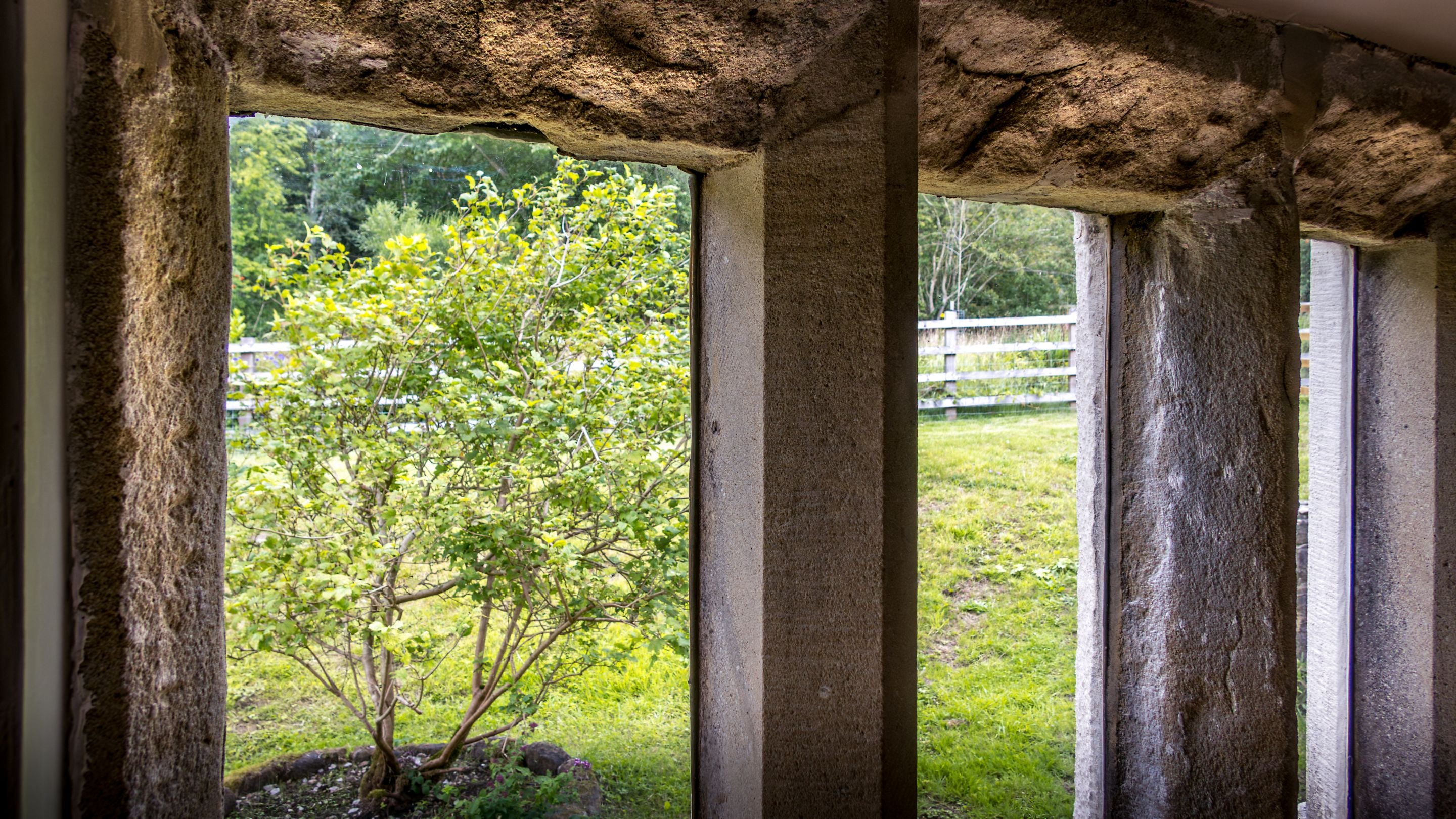 The stone mullion window in the utility room, overlooking part of the garden and woodland at Druid's Cave Farmhouse, North Yorkshire