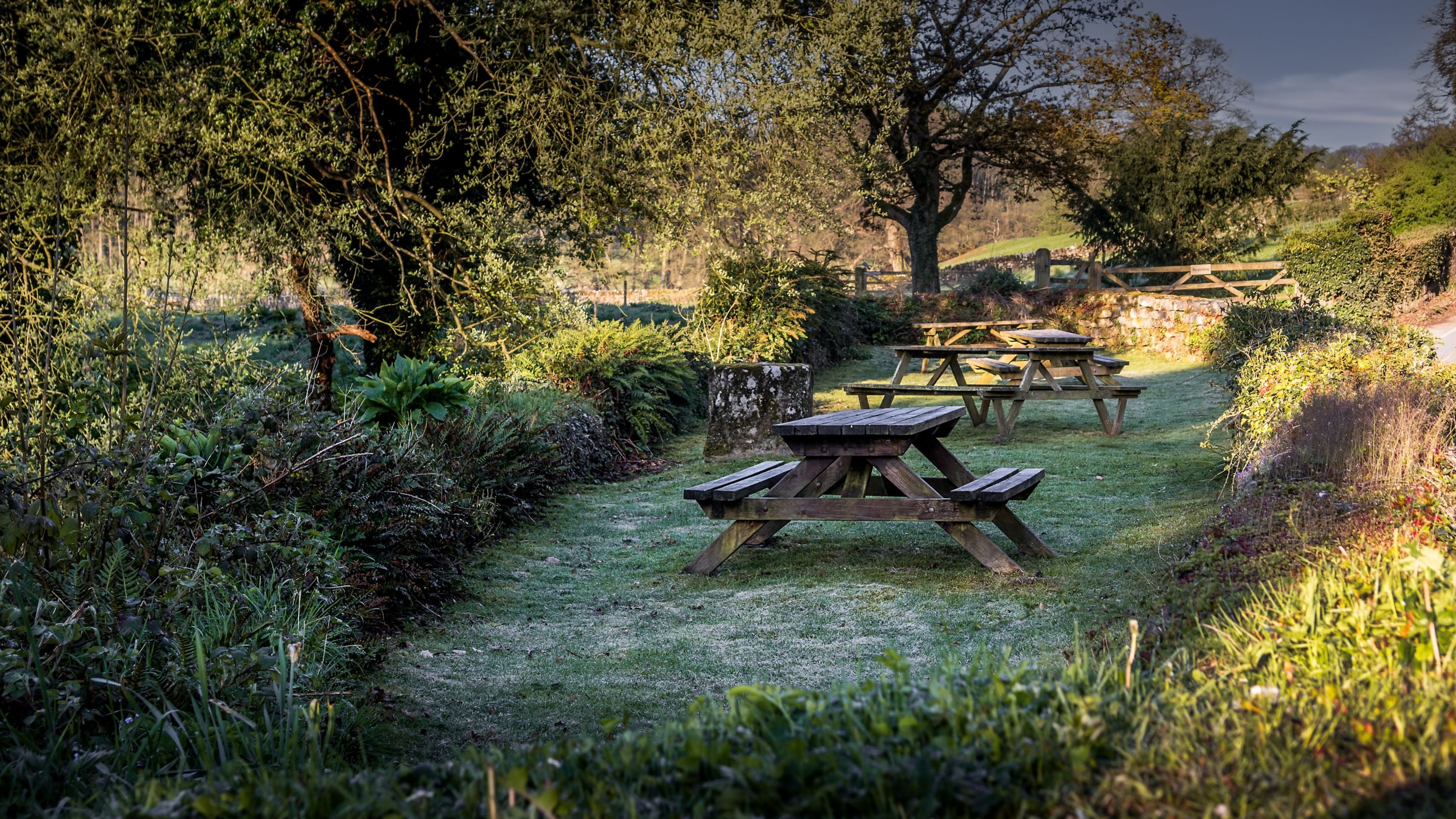The garden shared by Fountains Cottage, Abbey Stores and Abbey Cottage, with three picnic benches, Yorkshire