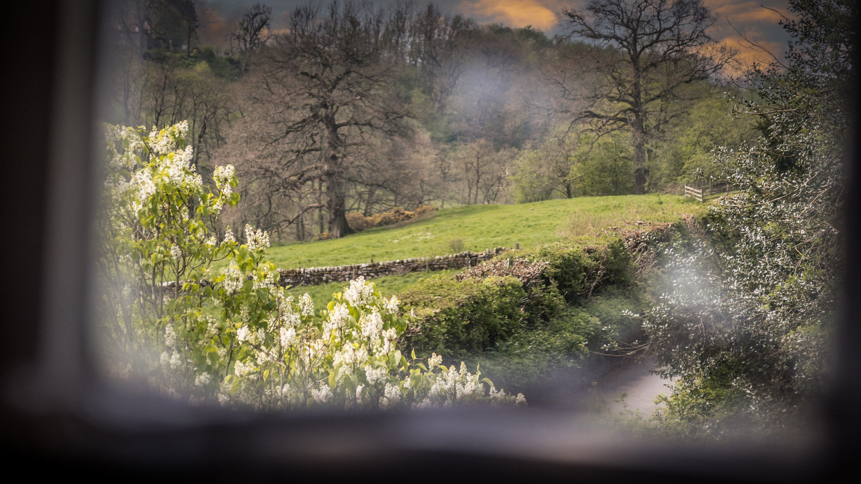 A view of a field and woodland from a window at Fountains Cottage, Yorkshire