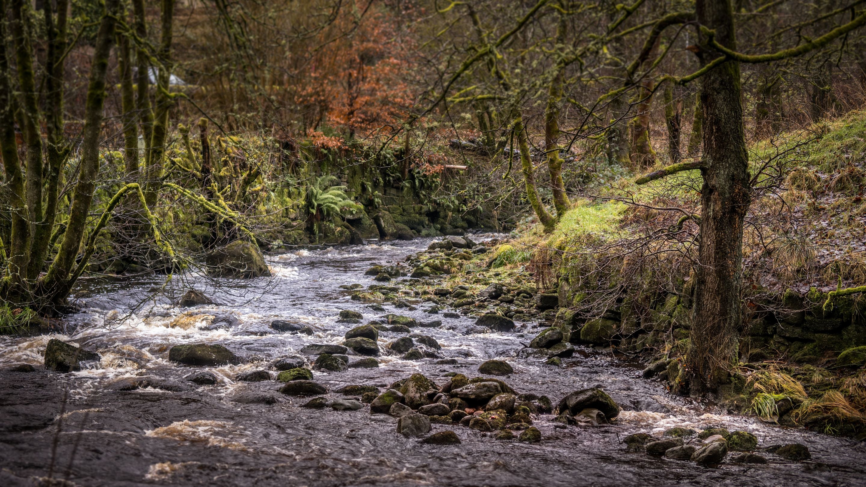 A stream in the surrounding area of Hardcastle Lodge, Yorkshire