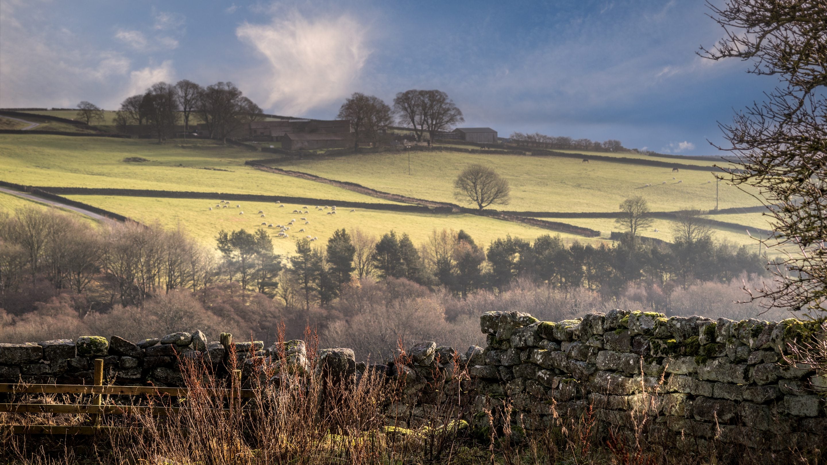 The area surrounding High Lidmoor Farmhouse, Yorkshire