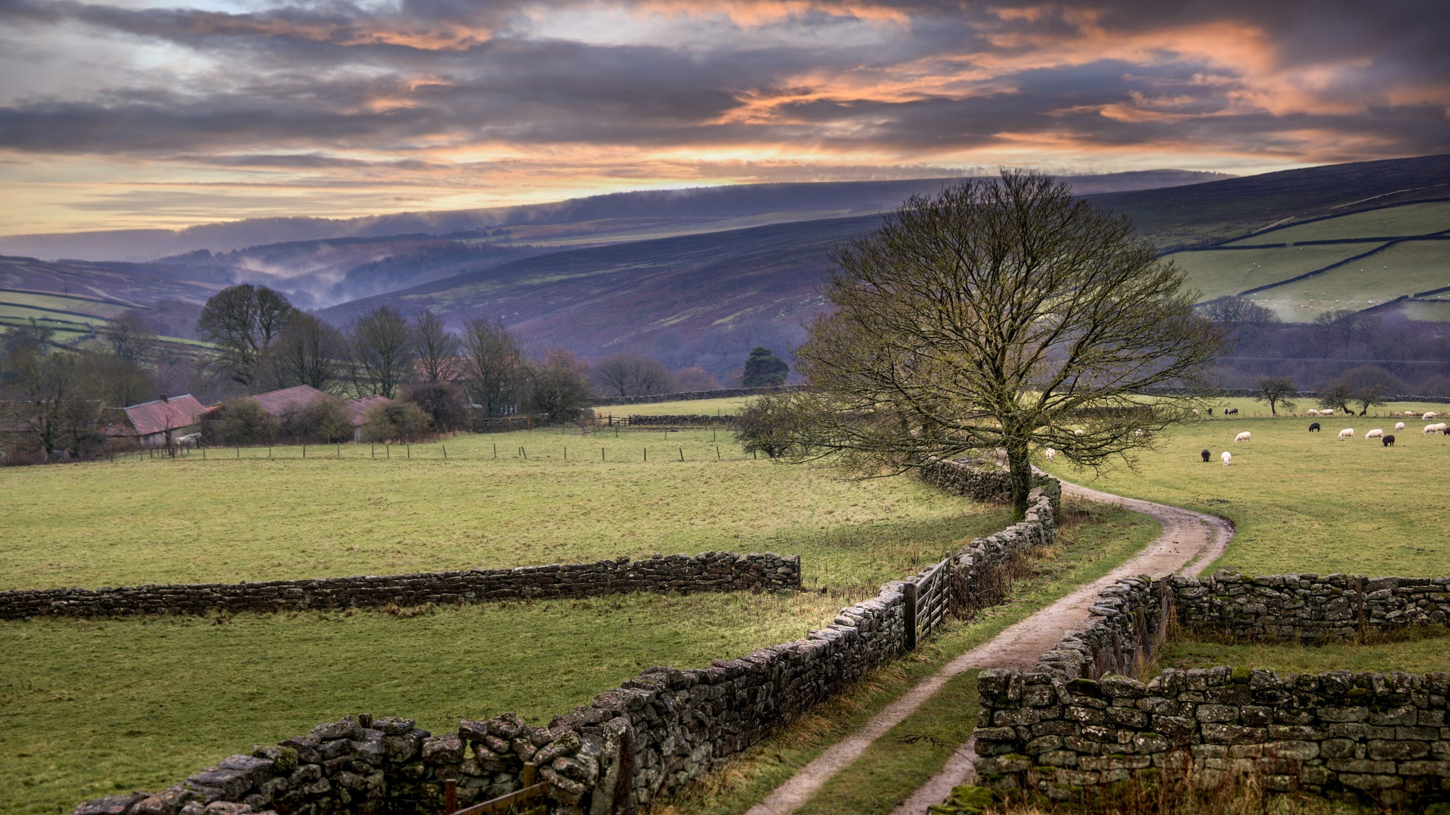 The area surrounding High Lidmoor Farmhouse, Yorkshire
