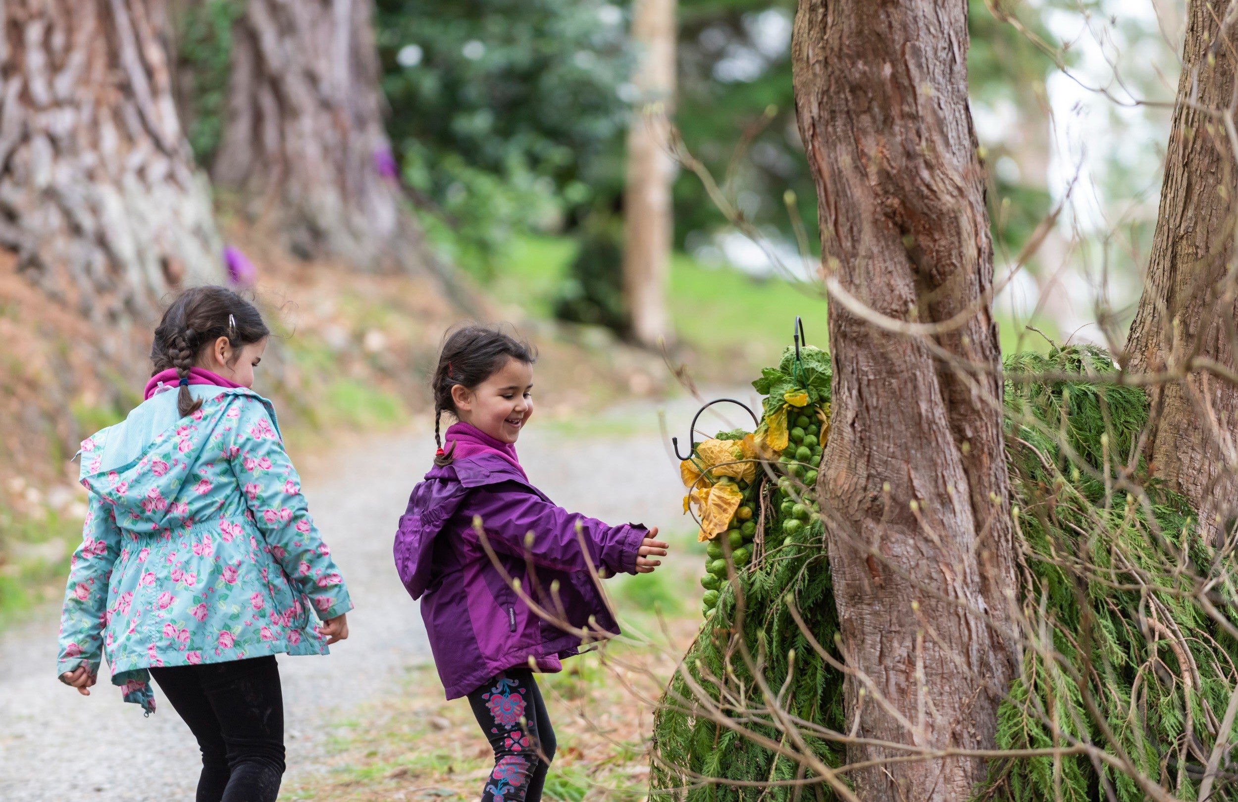 Children at Bodnant Garden, North Wales