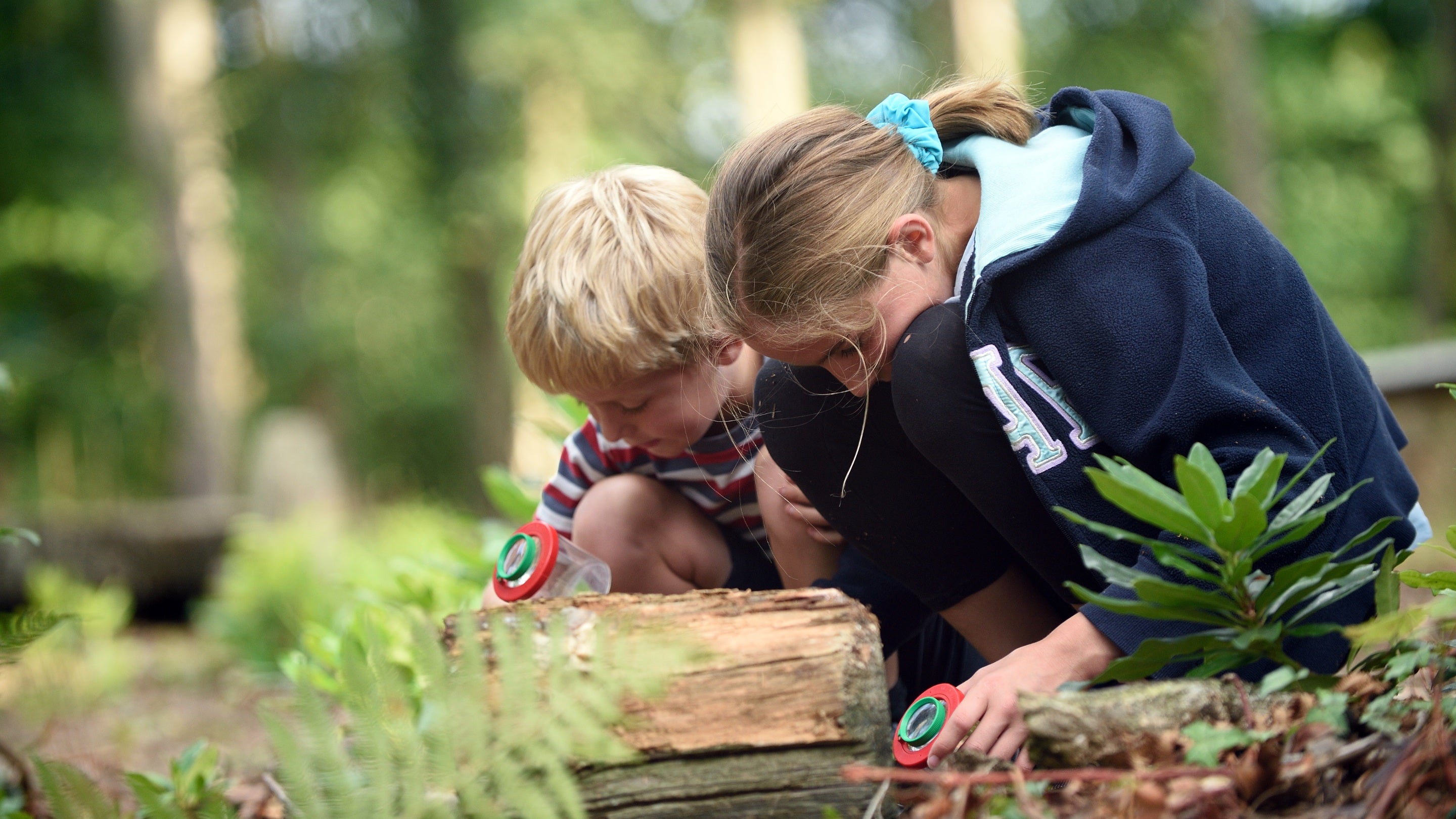 Children playing at Foxbury in the summer, Bramshaw Commons and Foxbury, Hampshire