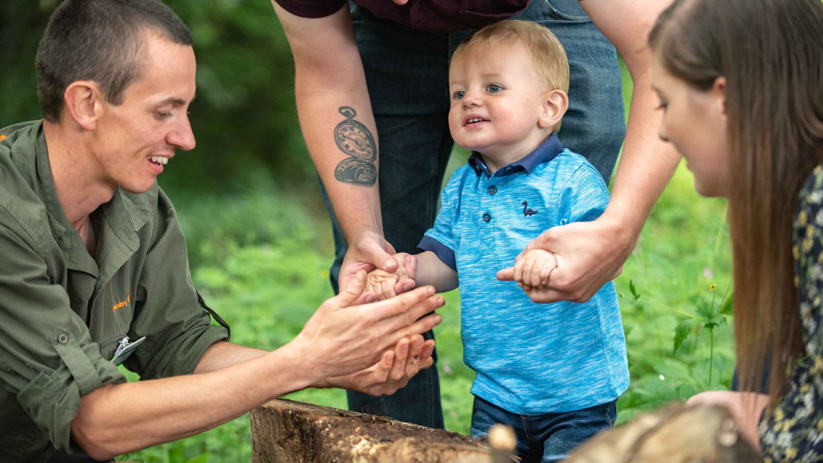 Hunting for bugs at Ormesby Hall, North Yorkshire