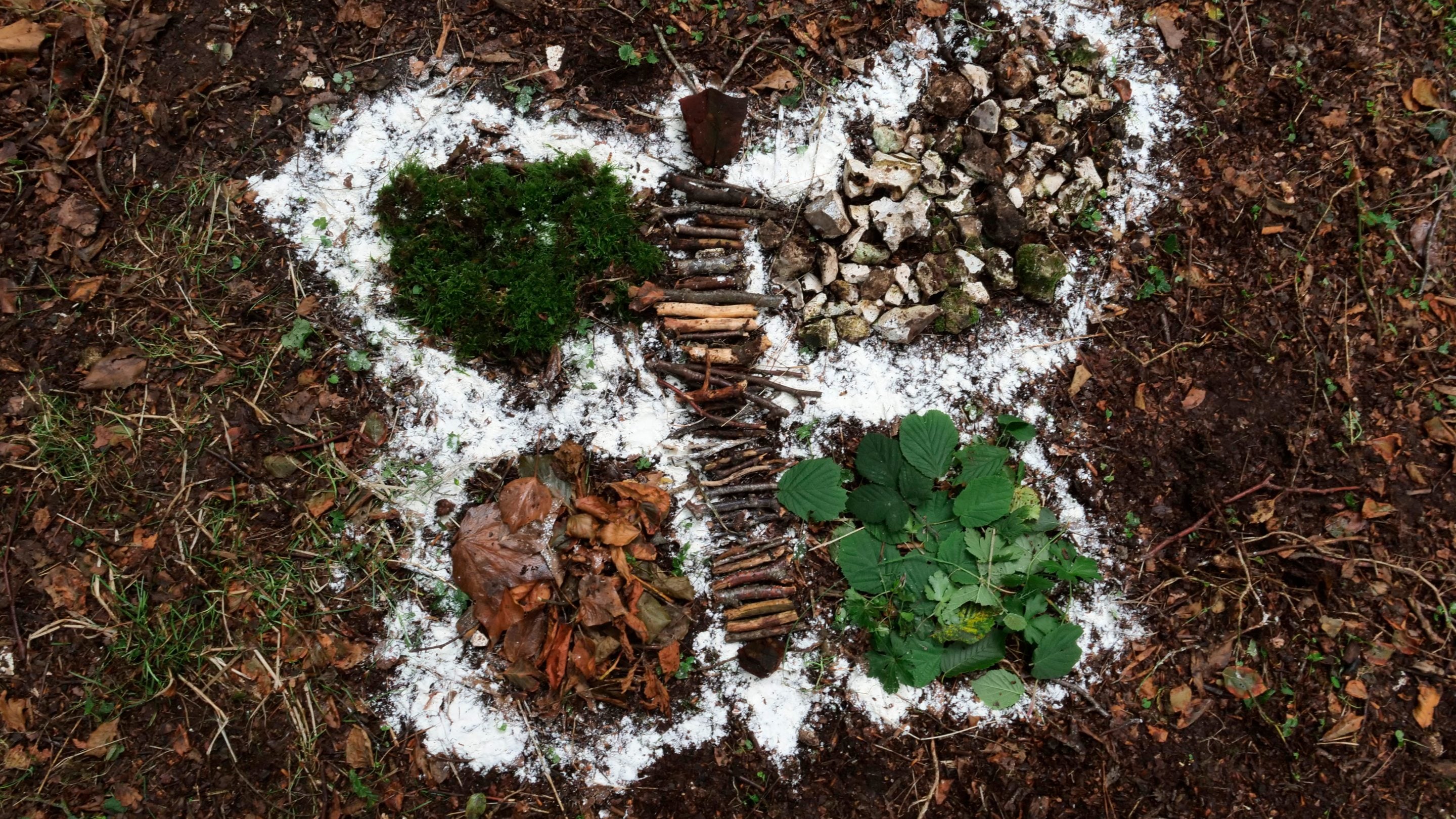 Butterfly wild art and Fontmell and Melbury Downs, Dorset