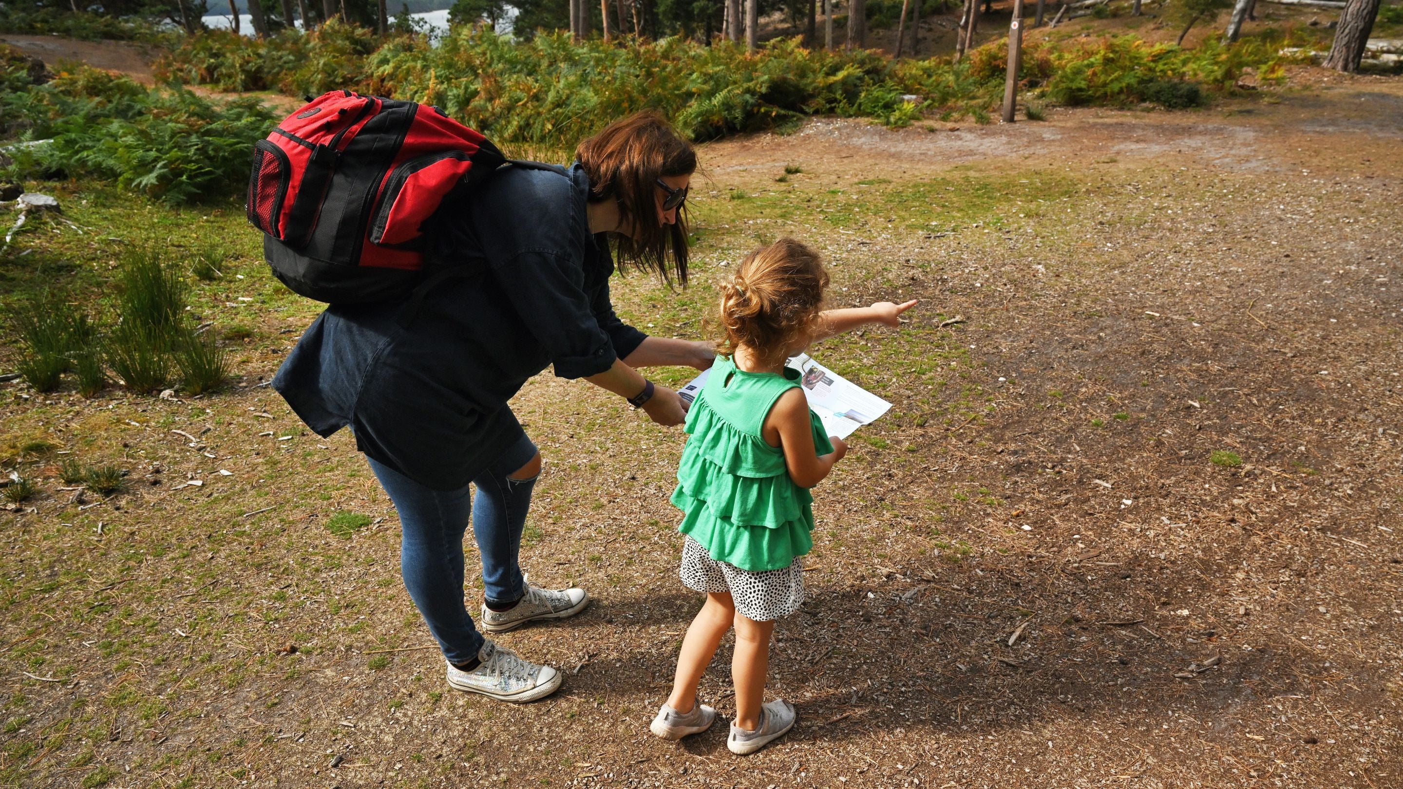 Visitors walking in woodland at Brownsea Island, Poole Harbour, Dorset