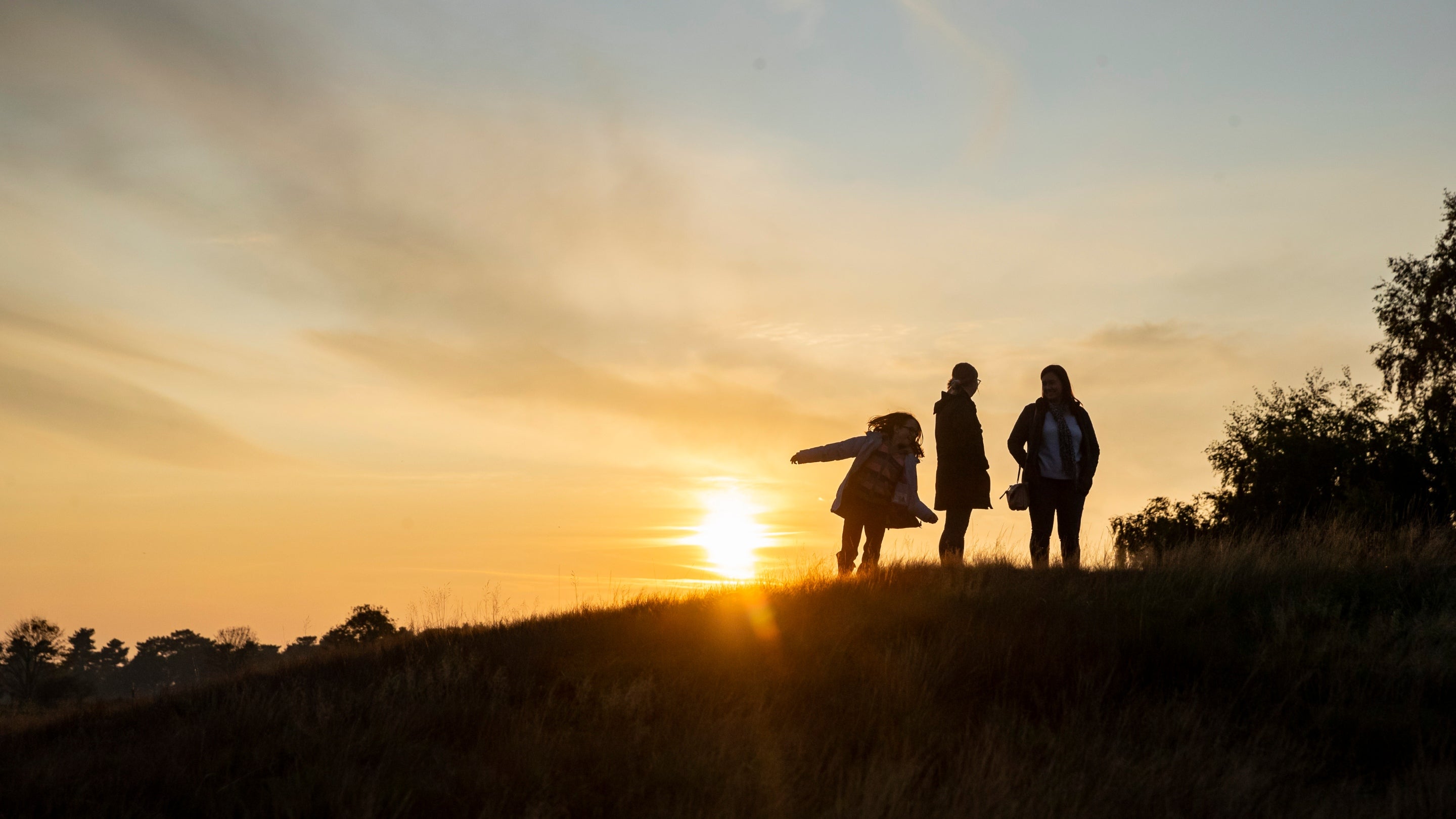 Visitors in silhouette at sunset at Sutton Hoo, Suffolk