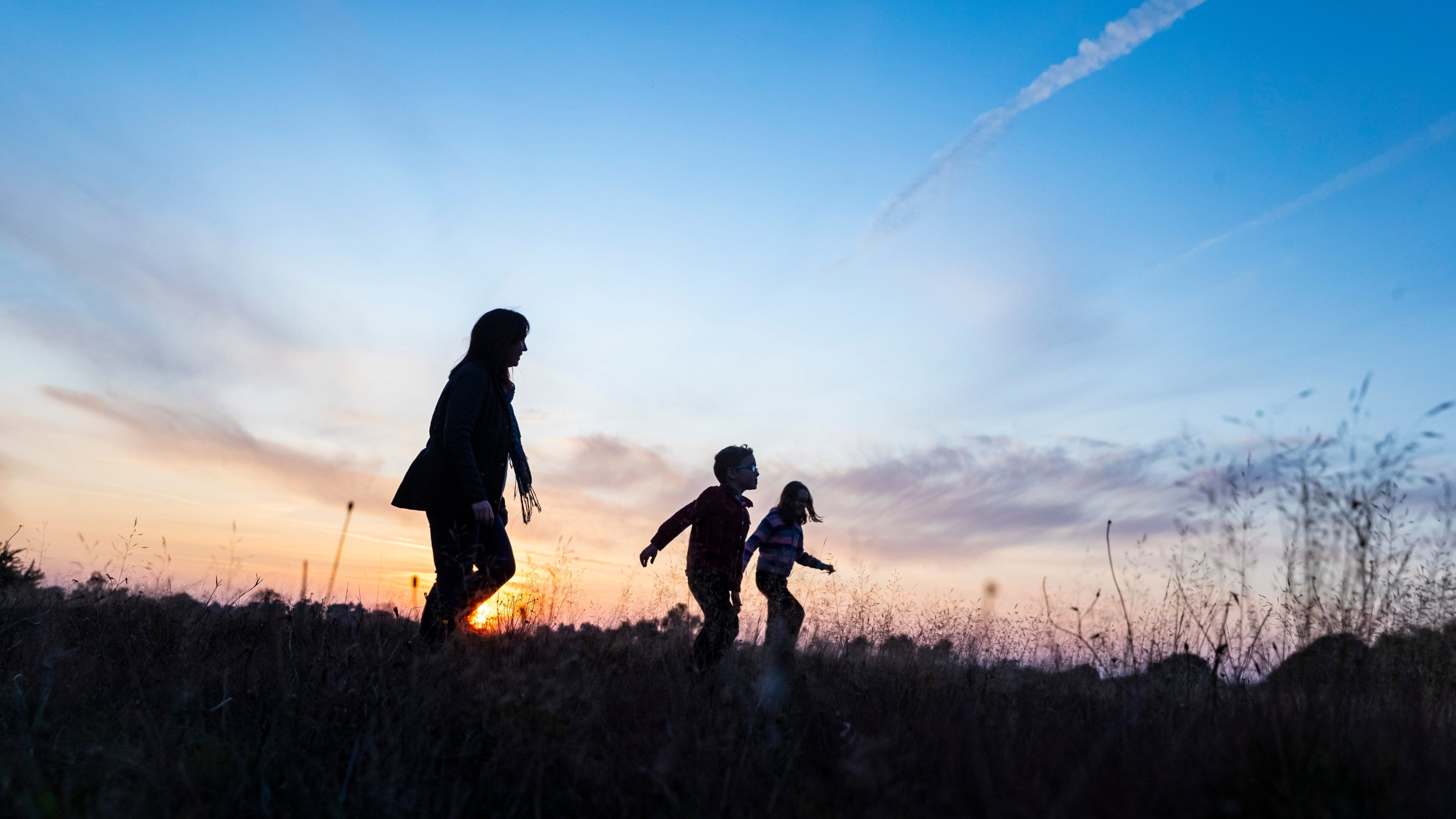 Visitors in silhouette at sunset at Sutton Hoo, Suffolk