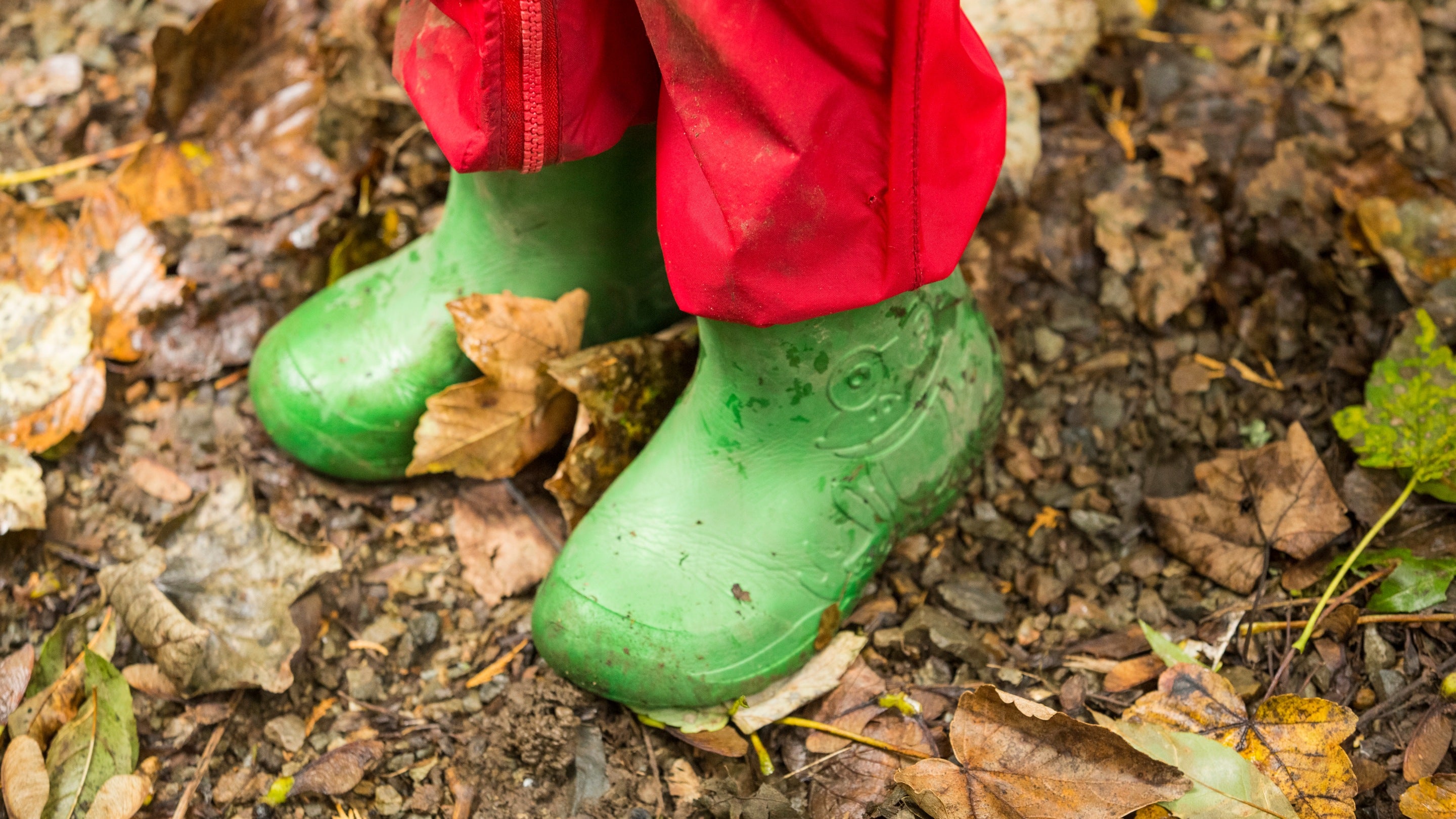 Close-up of the feet of a child wearing green wellies and red waterproof trousers, amid leaves, at Colby Woodland Garden, Pembrokeshire