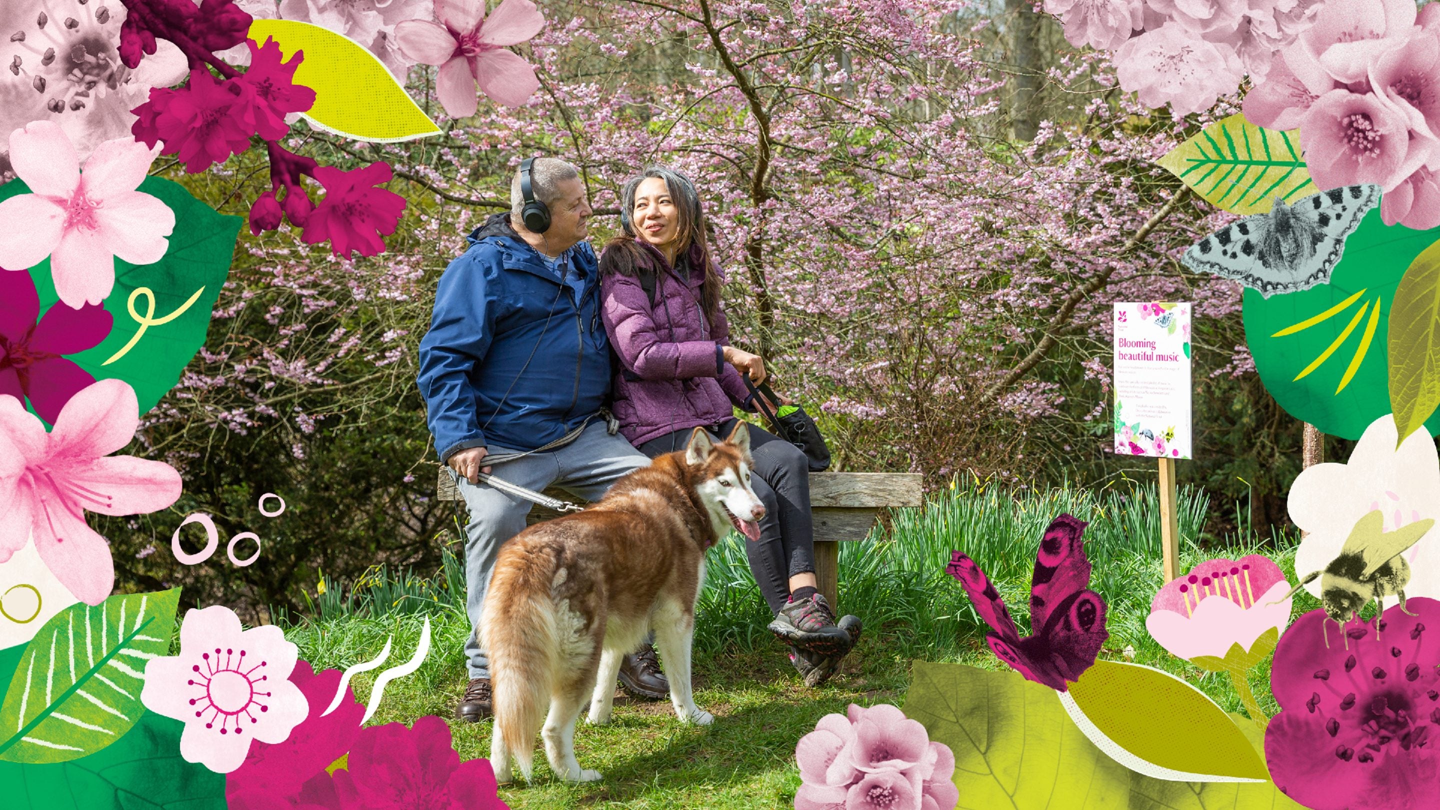 Two visitors sitting on a bench with headphones on, with a design creative of blossom flowers around as a border