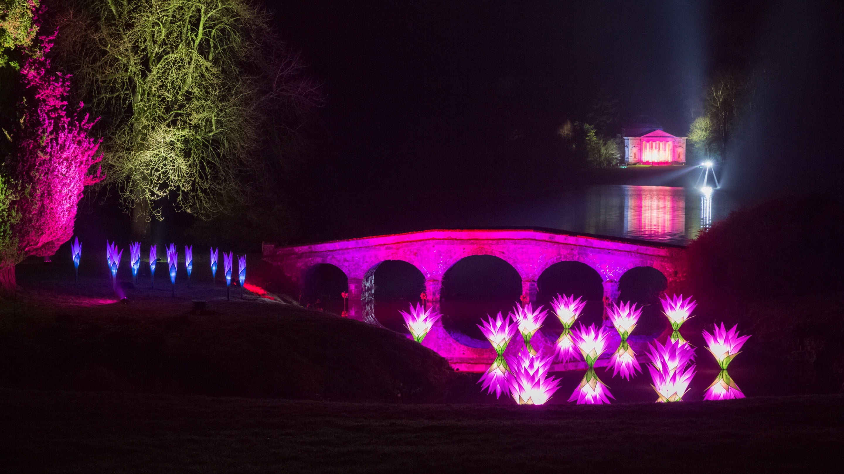 Image shows part of the illuminated Christmas trail at Stourhead, with a bridge lit up in pink-purple light and lights floating in the water. The house illuminated in the distance